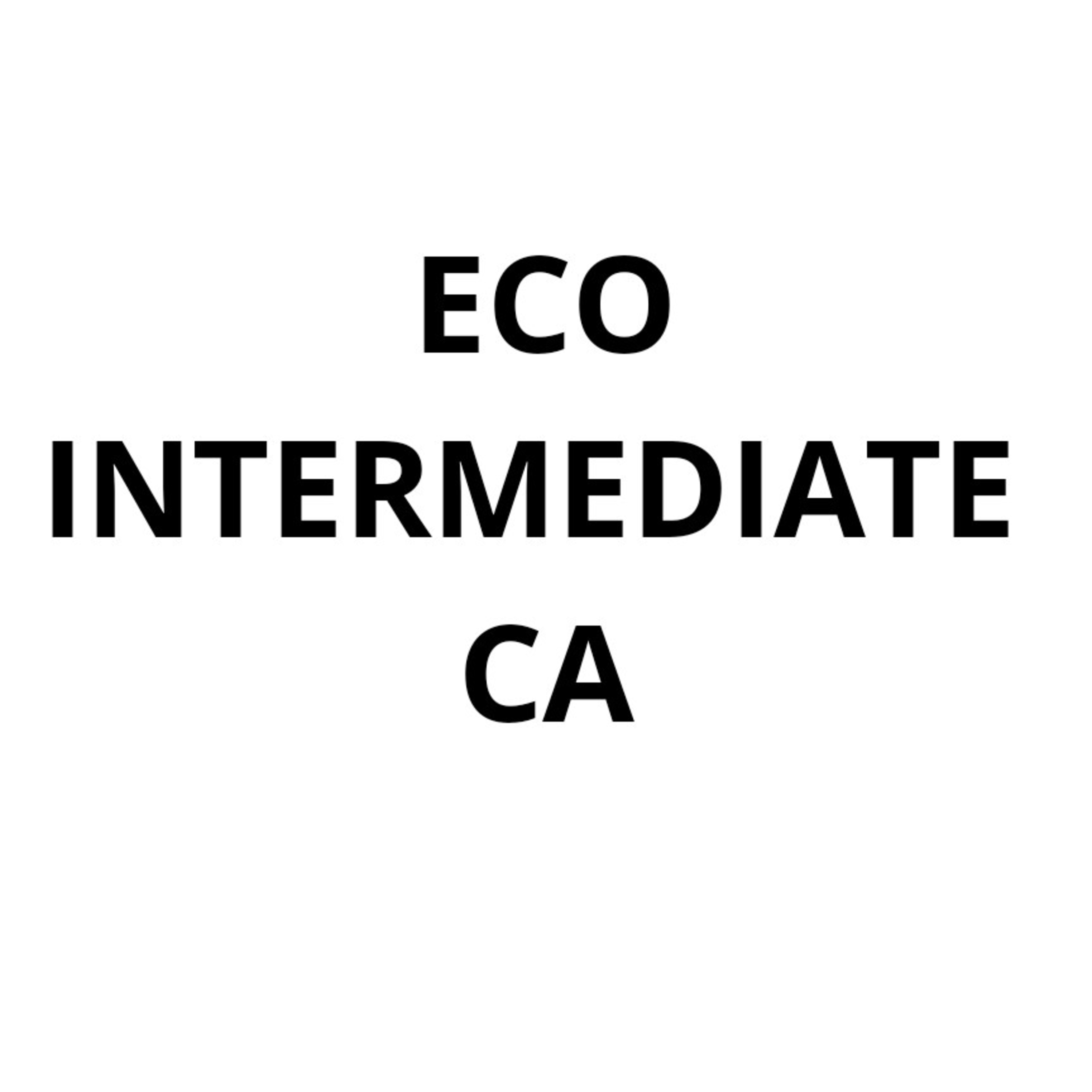 Economics CA intermediate