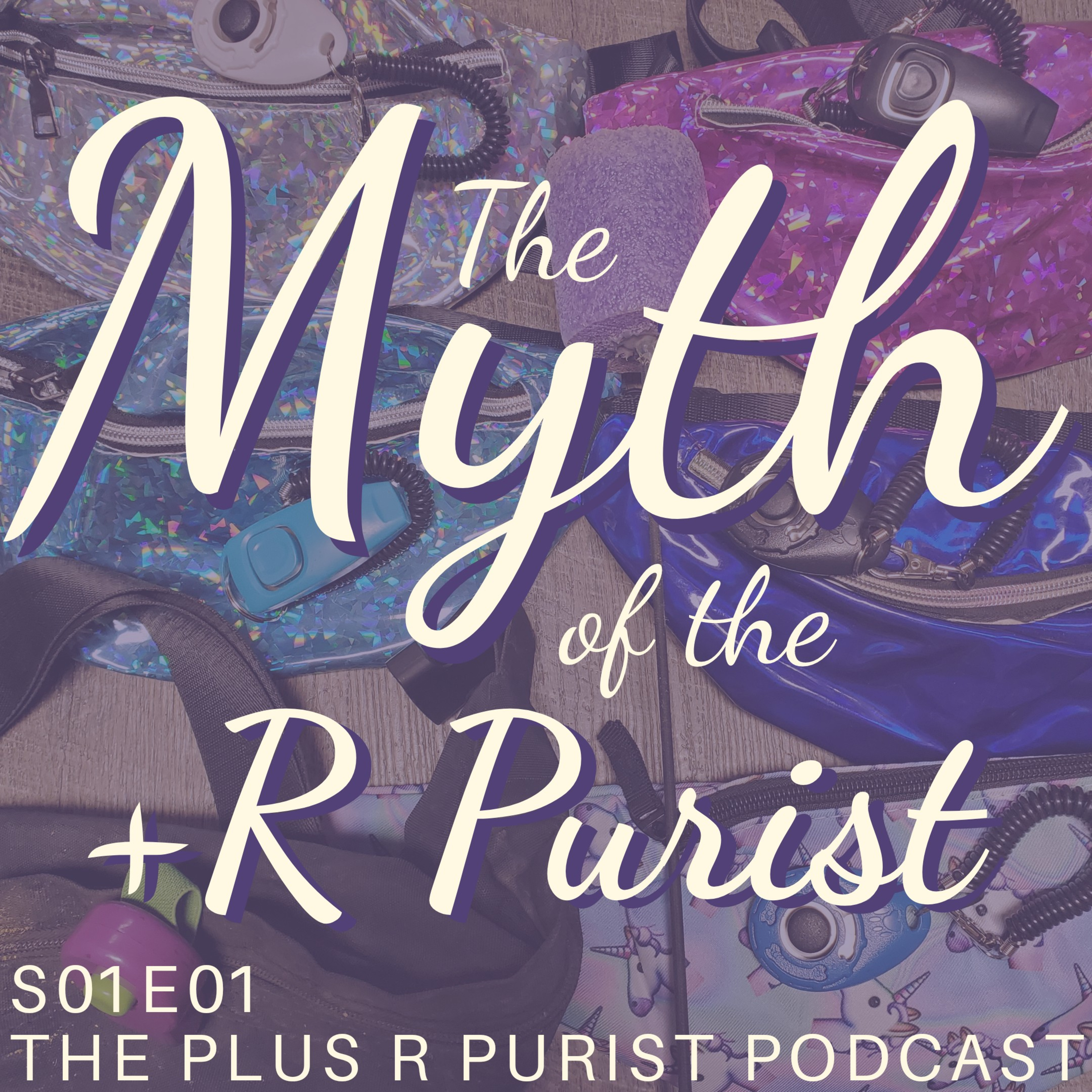 Welcome // The Myth of the +R Purist