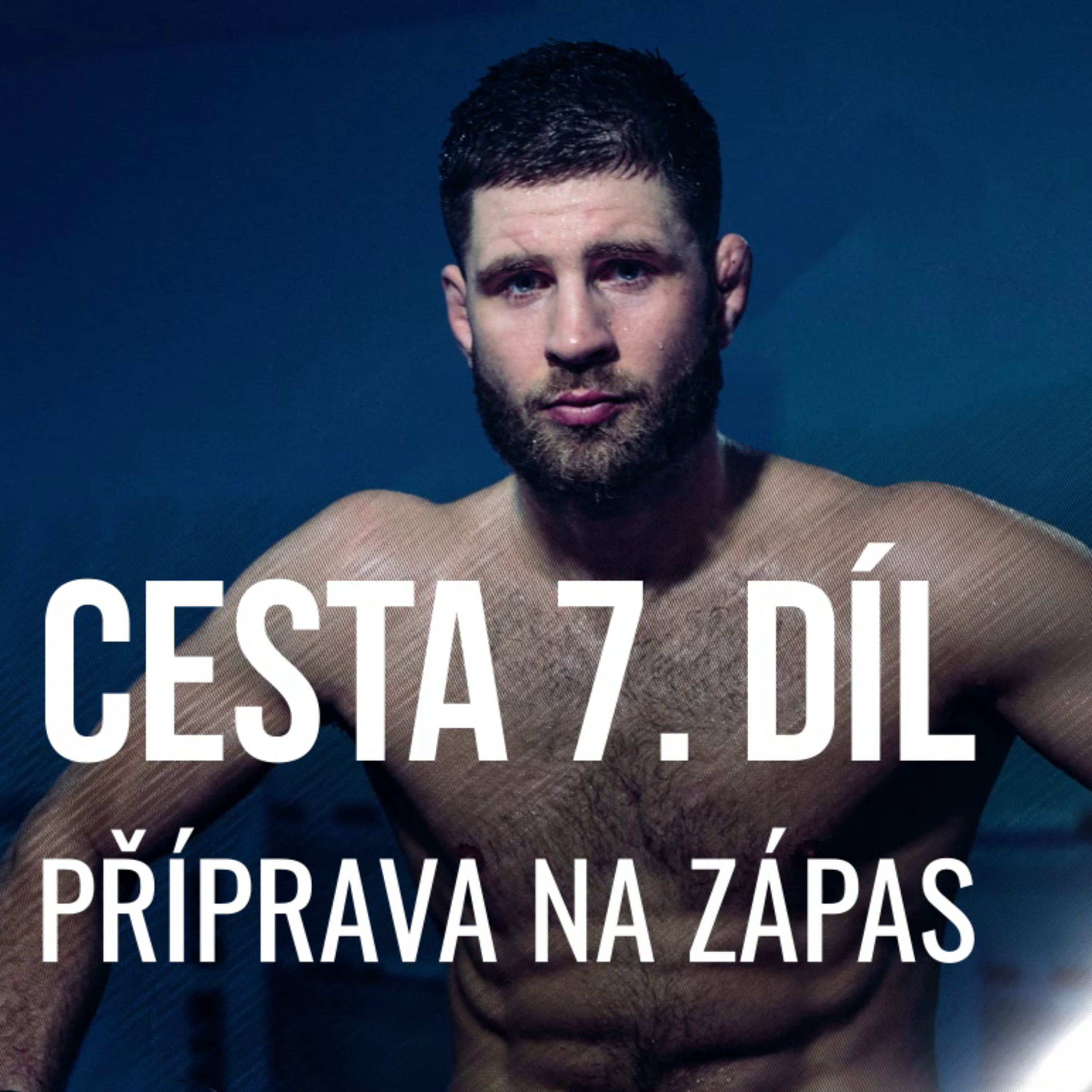 Jiří Denisa Procházka - CESTA 7/10 - Příprava na zápas episode artwork