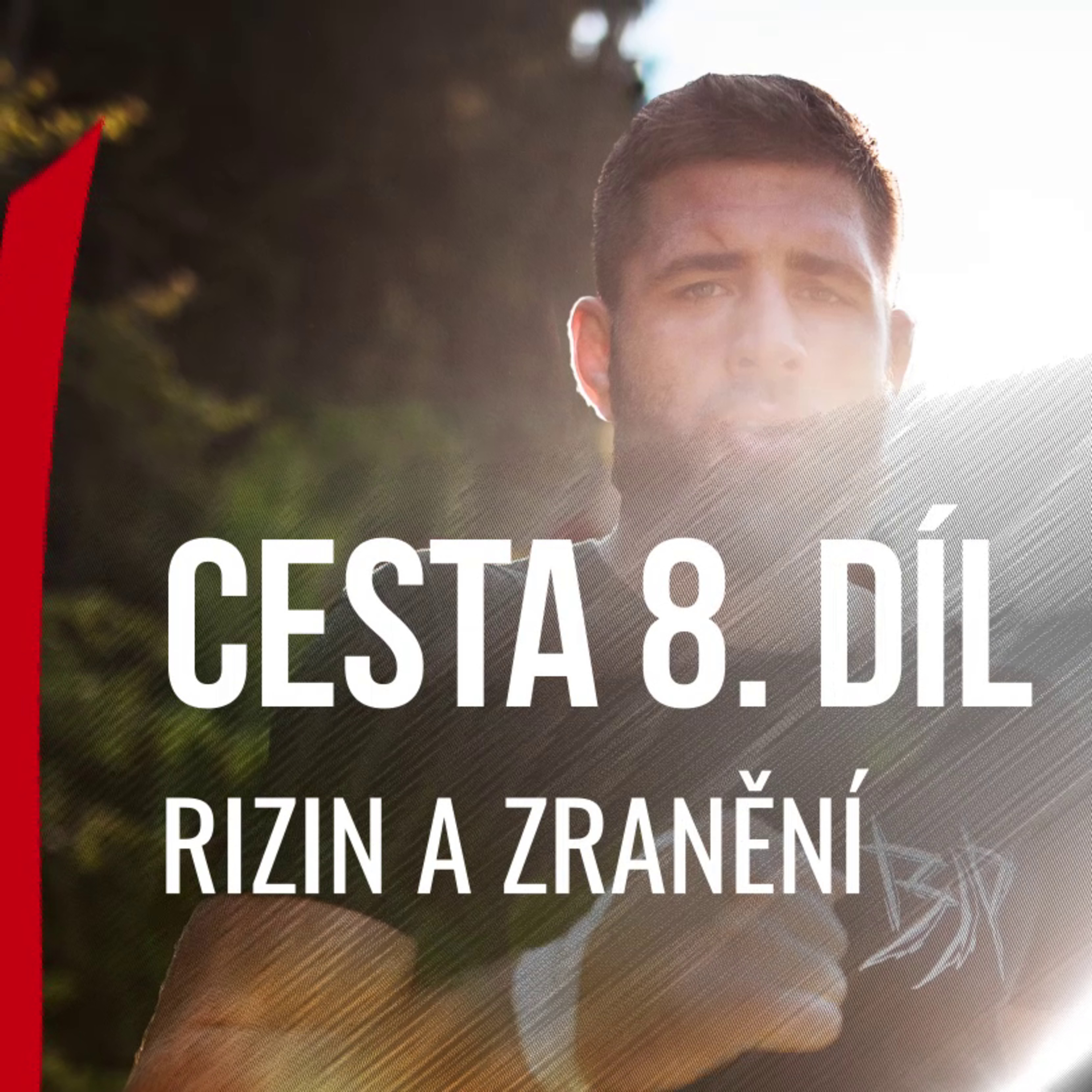 Jiří Denisa Procházka - CESTA 8/10 - Rizin a zranění episode artwork