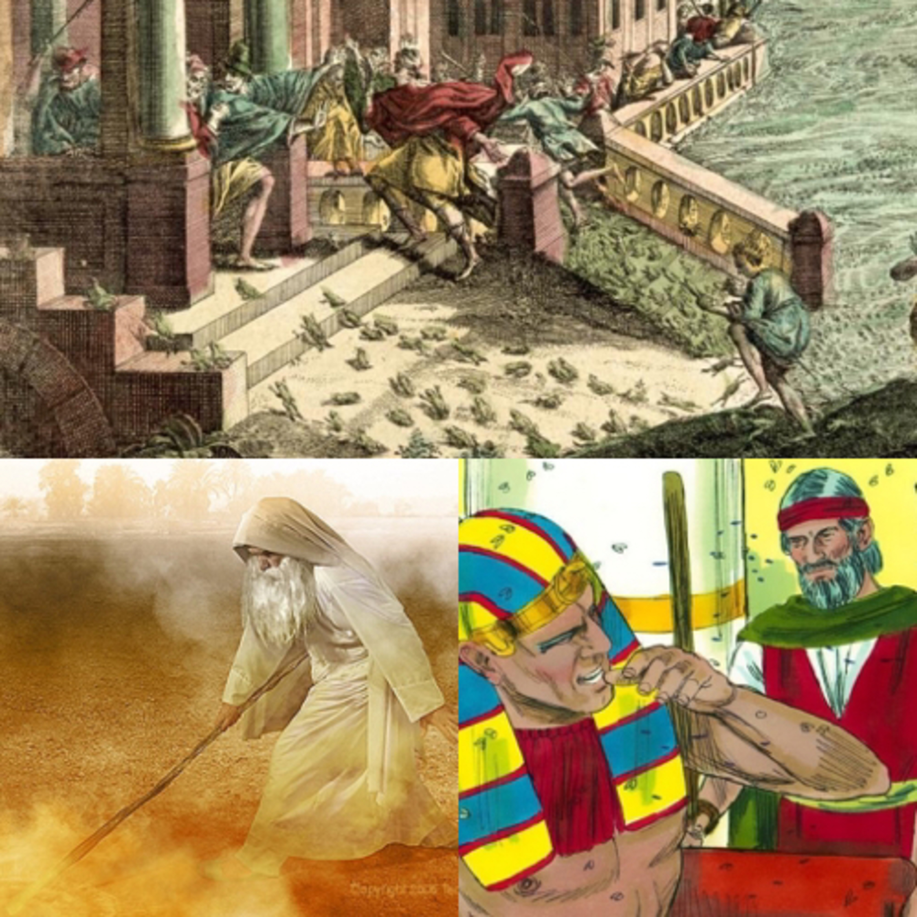 TRP 21: Jesus In Exodus Part 9, Ch.8: 3 More Plagues episode artwork