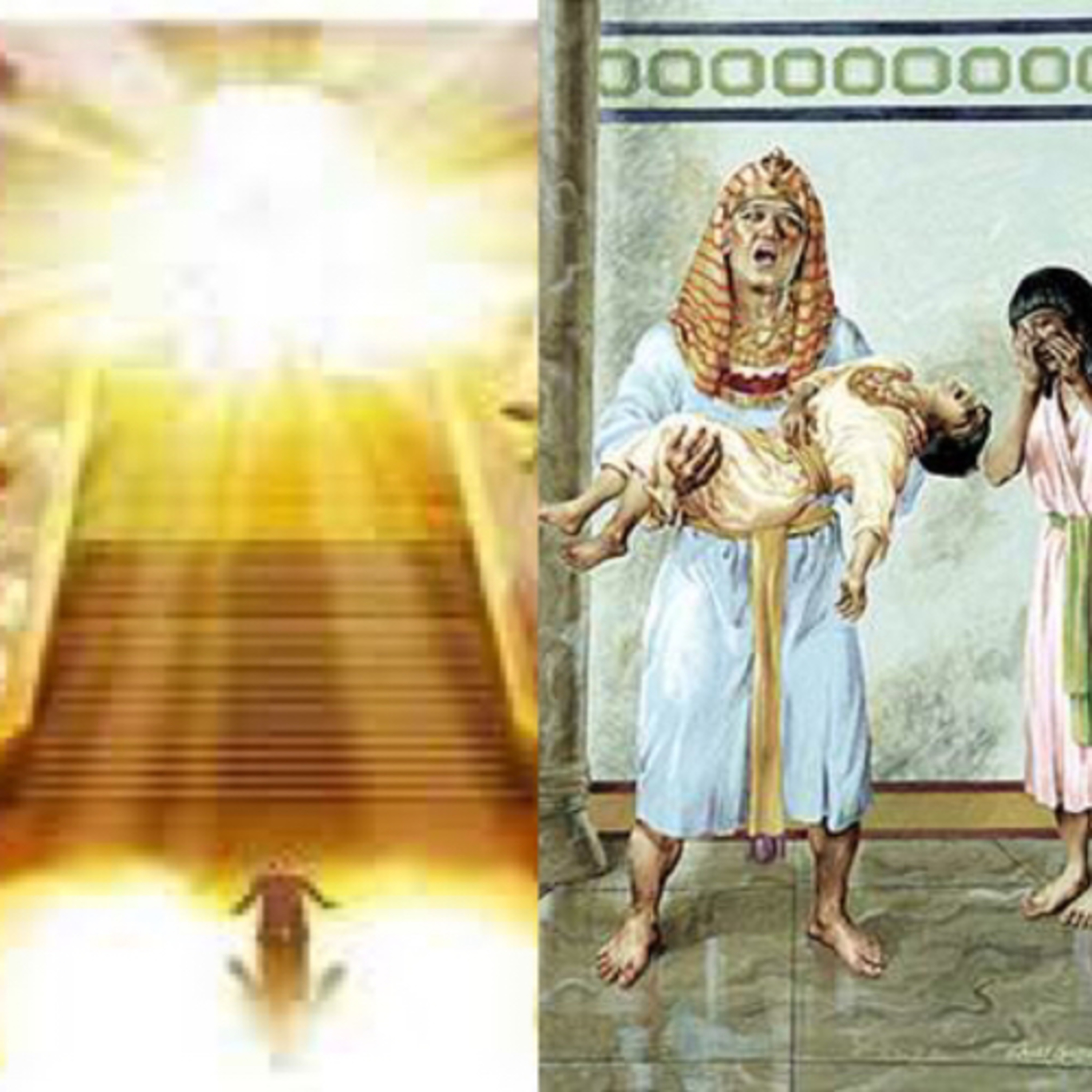 TRP 26: Jesus In Exodus Part 14, ch. 11:4-7: The Plague Of Death, A Mirror Of God’s Judgement  episode artwork