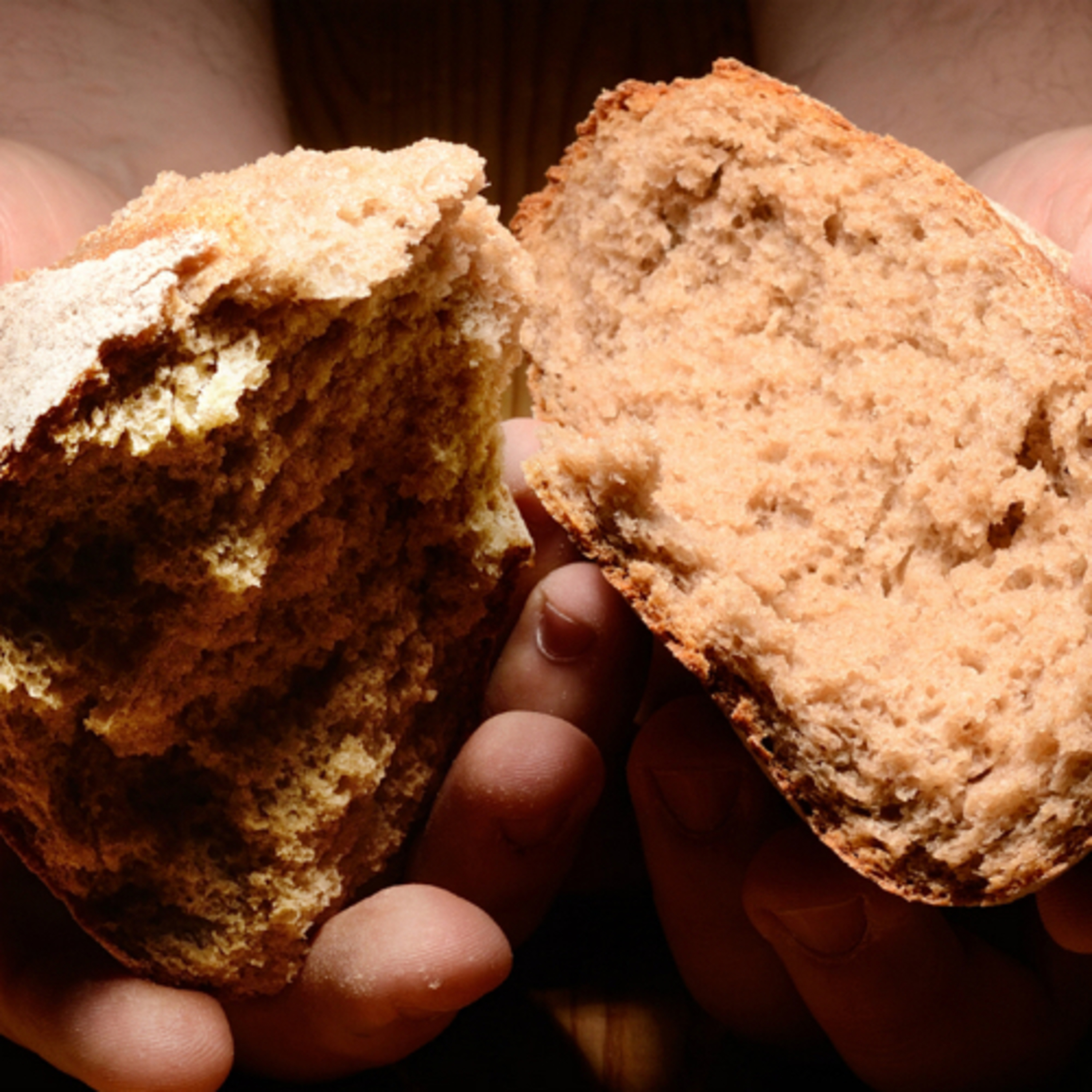TRP 29: The Passover In Exodus Part 2, ch.12:9-11, The Bread Of Life
 episode artwork