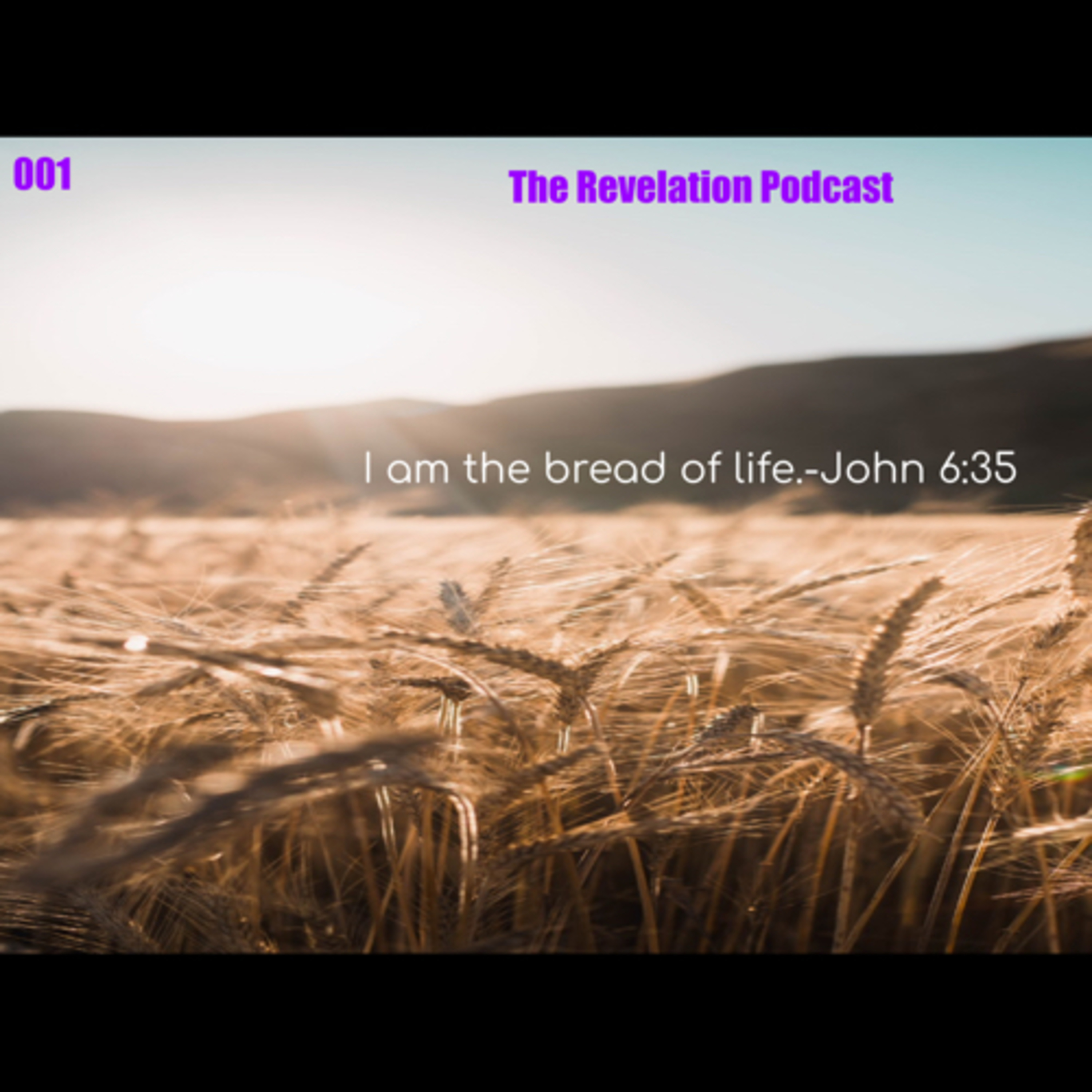TRP 001: The Bread Of Life, John 6:35 episode artwork