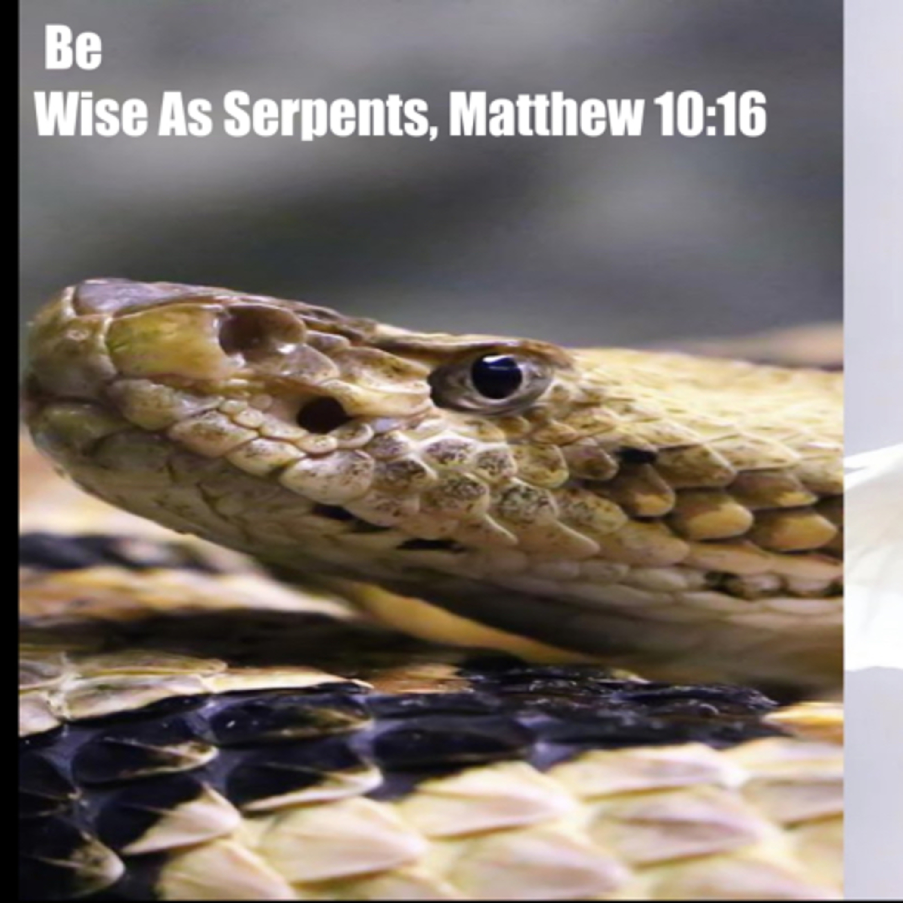 Be Wise As Serpents, Matthew 10:16 episode artwork