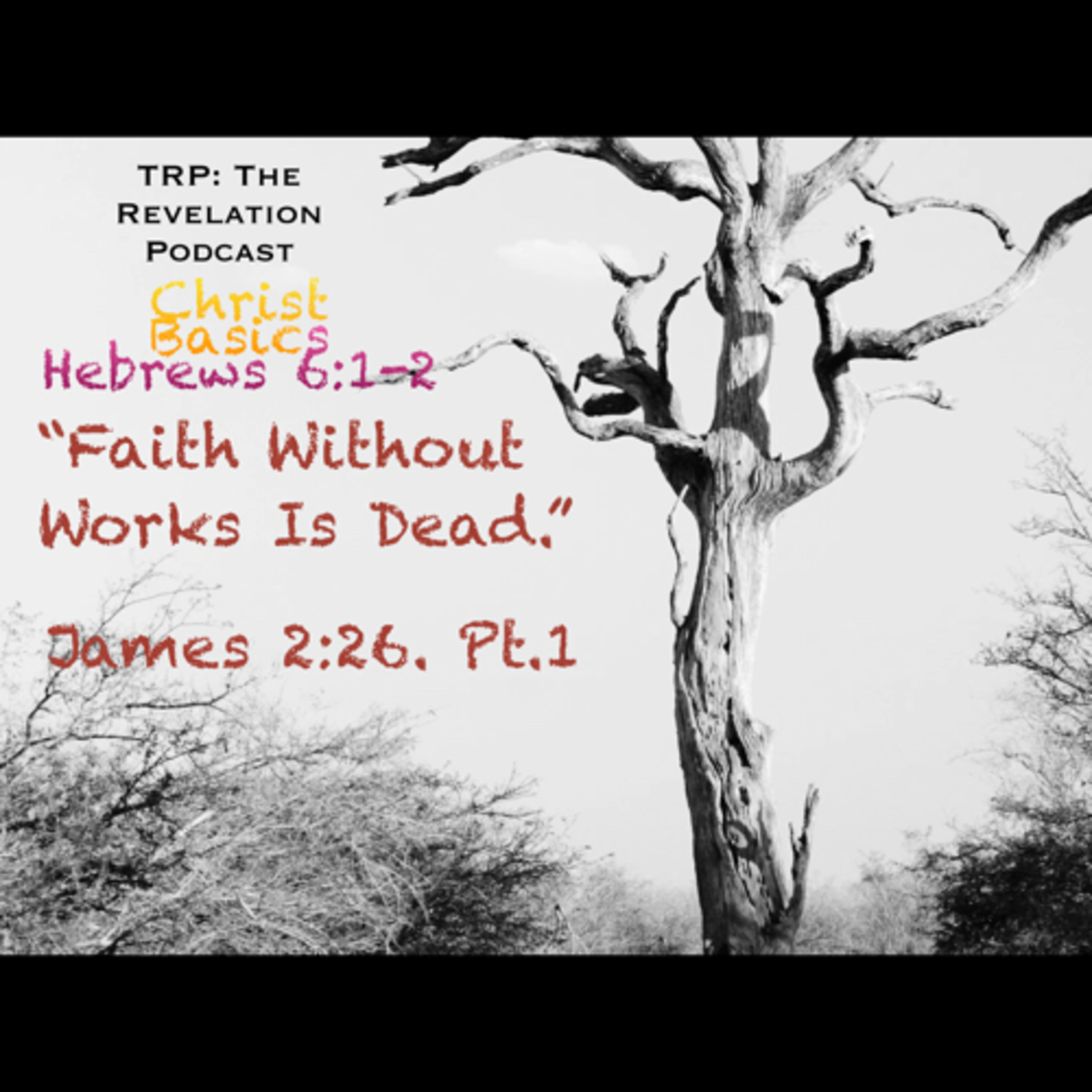 Christ Basics: 1. Faith Without Works Is Dead episode artwork