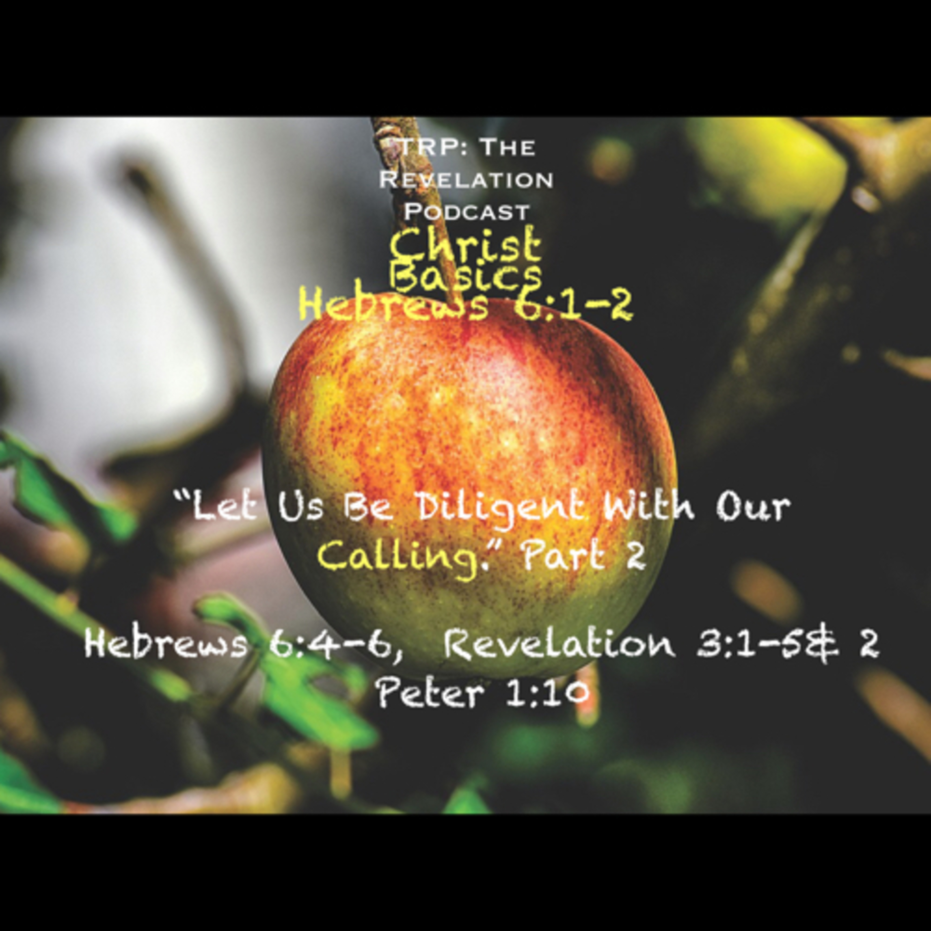 Christ Basics: Let Us Be Diligent With Our Calling. Part 2