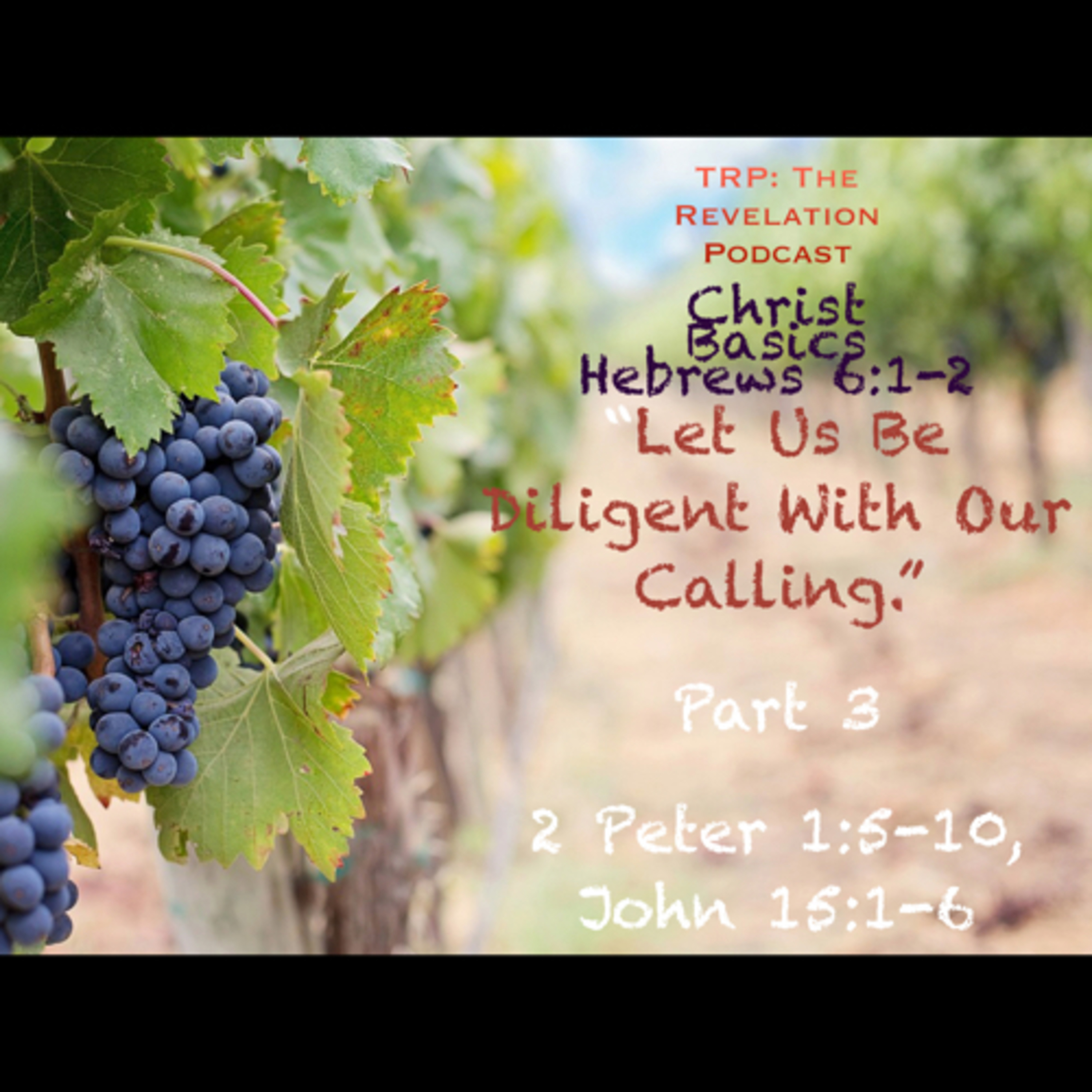 Christ Basics: Let Us Be Diligent With Our Calling. Part 3 episode artwork