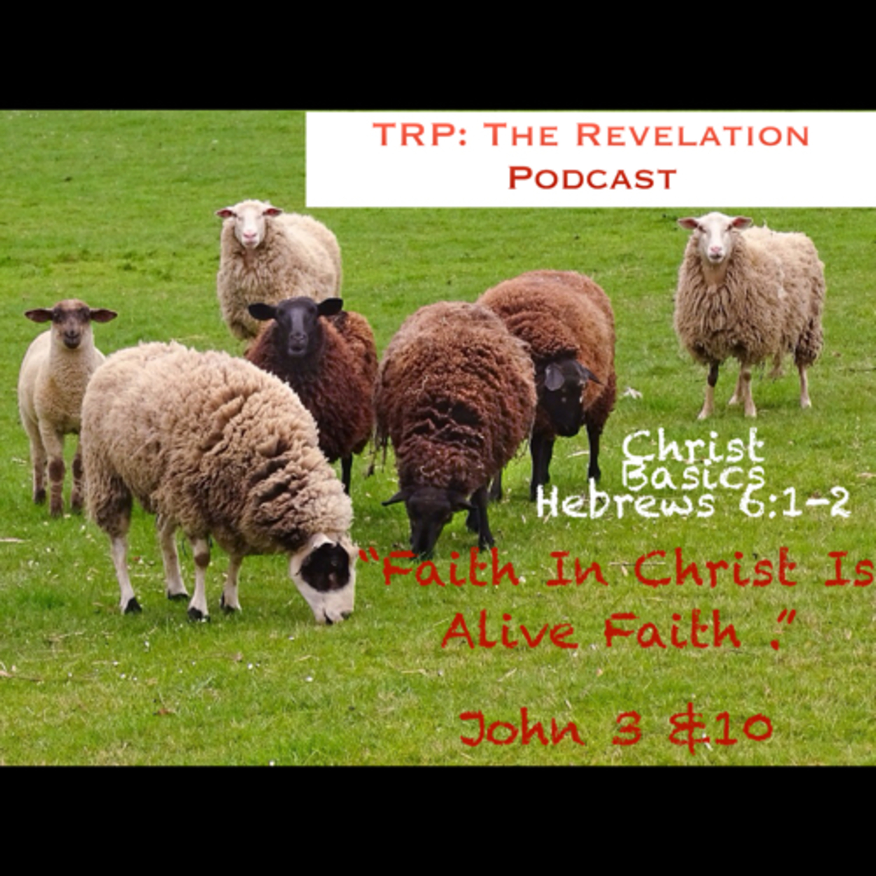 Christ Basics: 1. Faith In Christ Is Alive Faith episode artwork