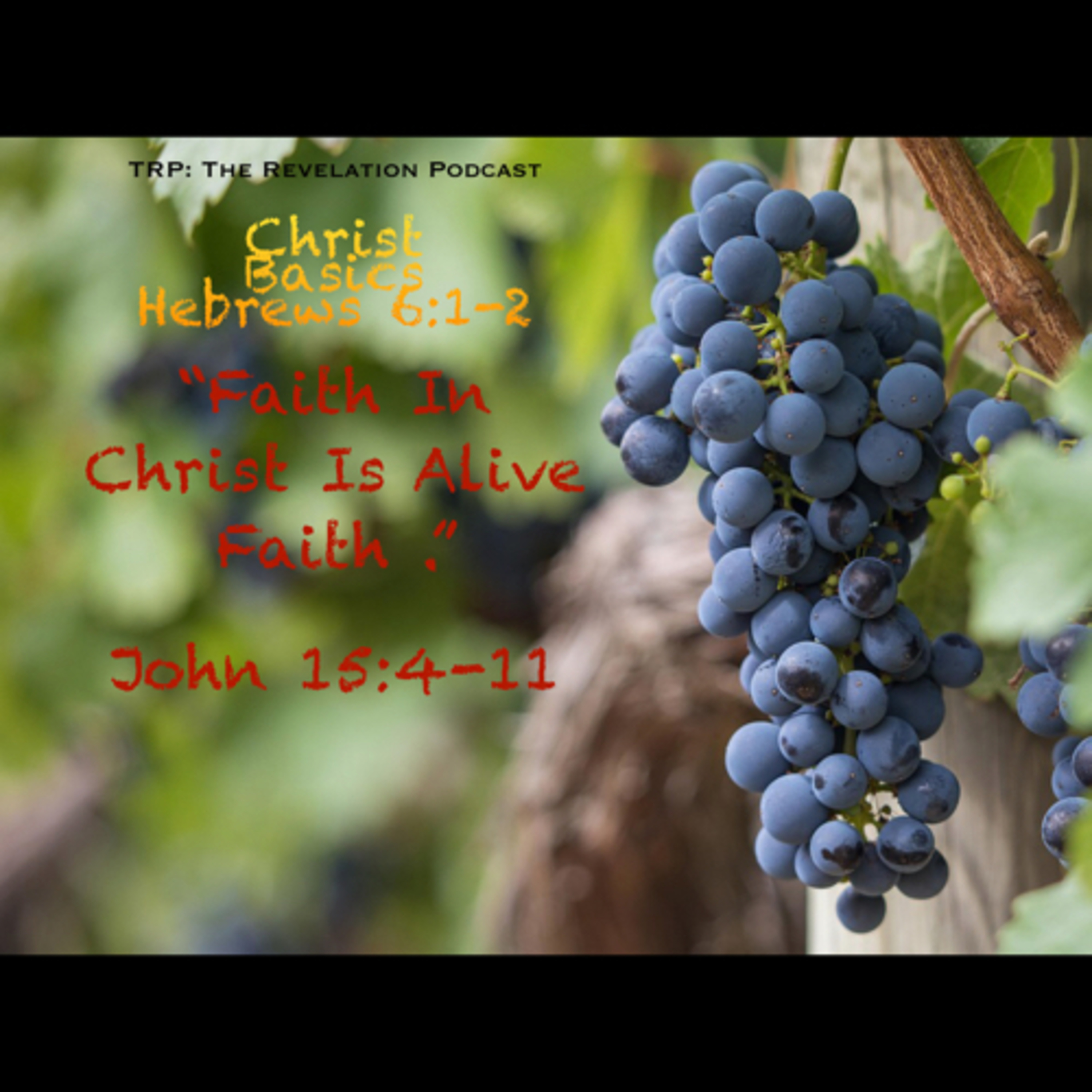 Christ Basics: Faith In Christ Is Alive Faith episode artwork