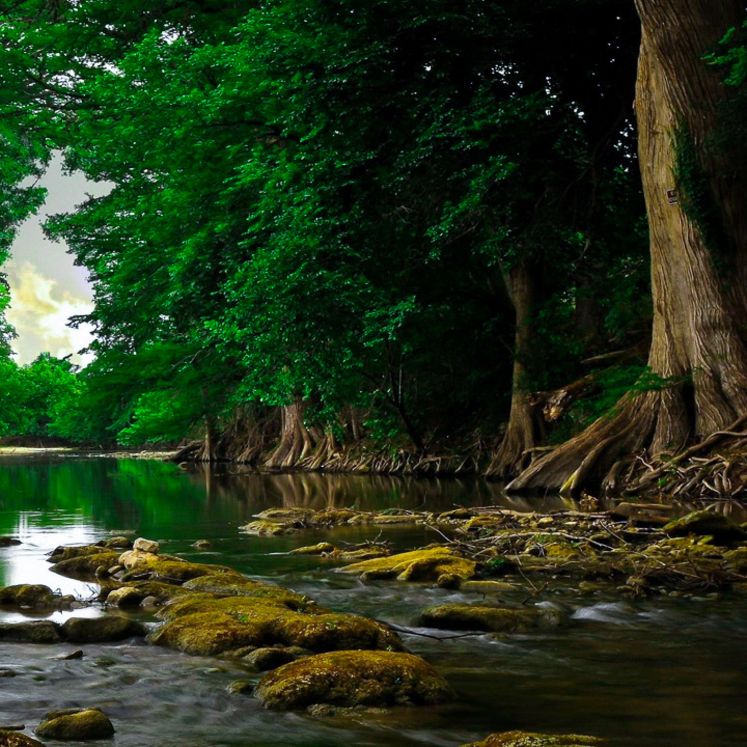 Tranquilos De La Naturaleza