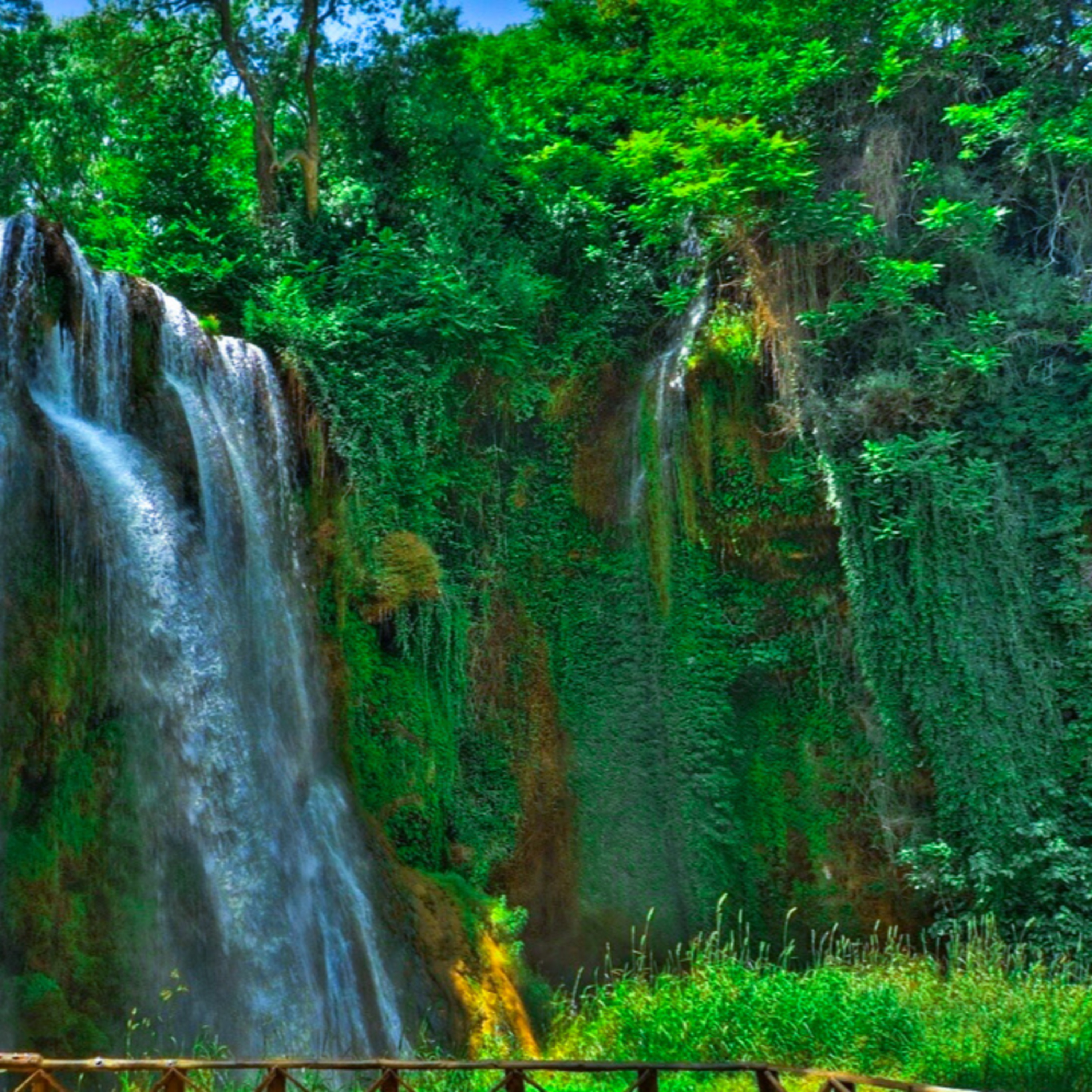Tranquilos De La Naturaleza