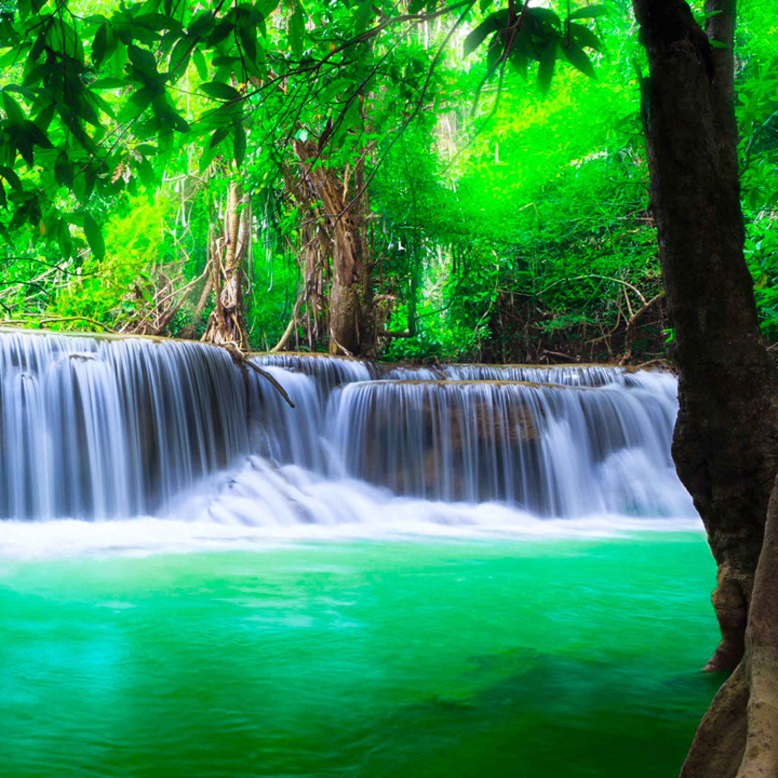 Tranquilos De La Naturaleza