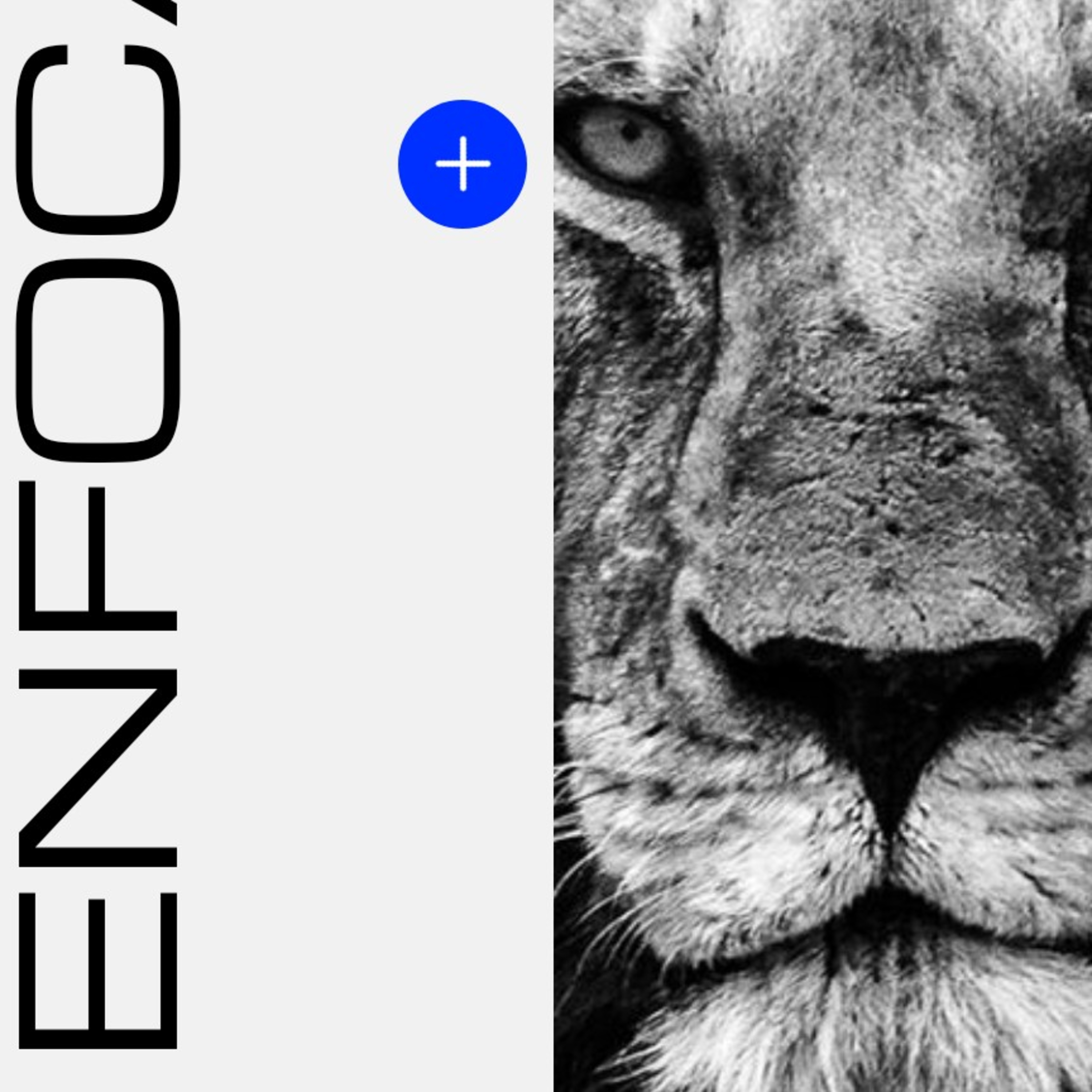 Enfocados