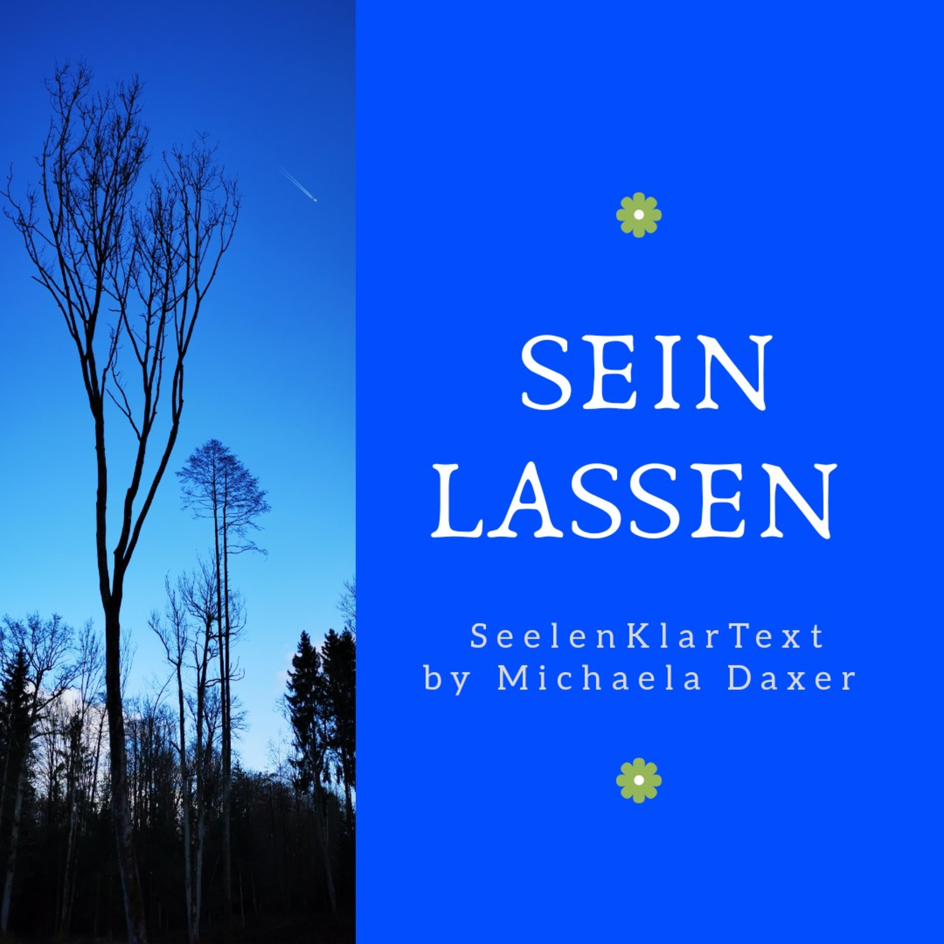 SeelenKlarText by Michaela Daxer