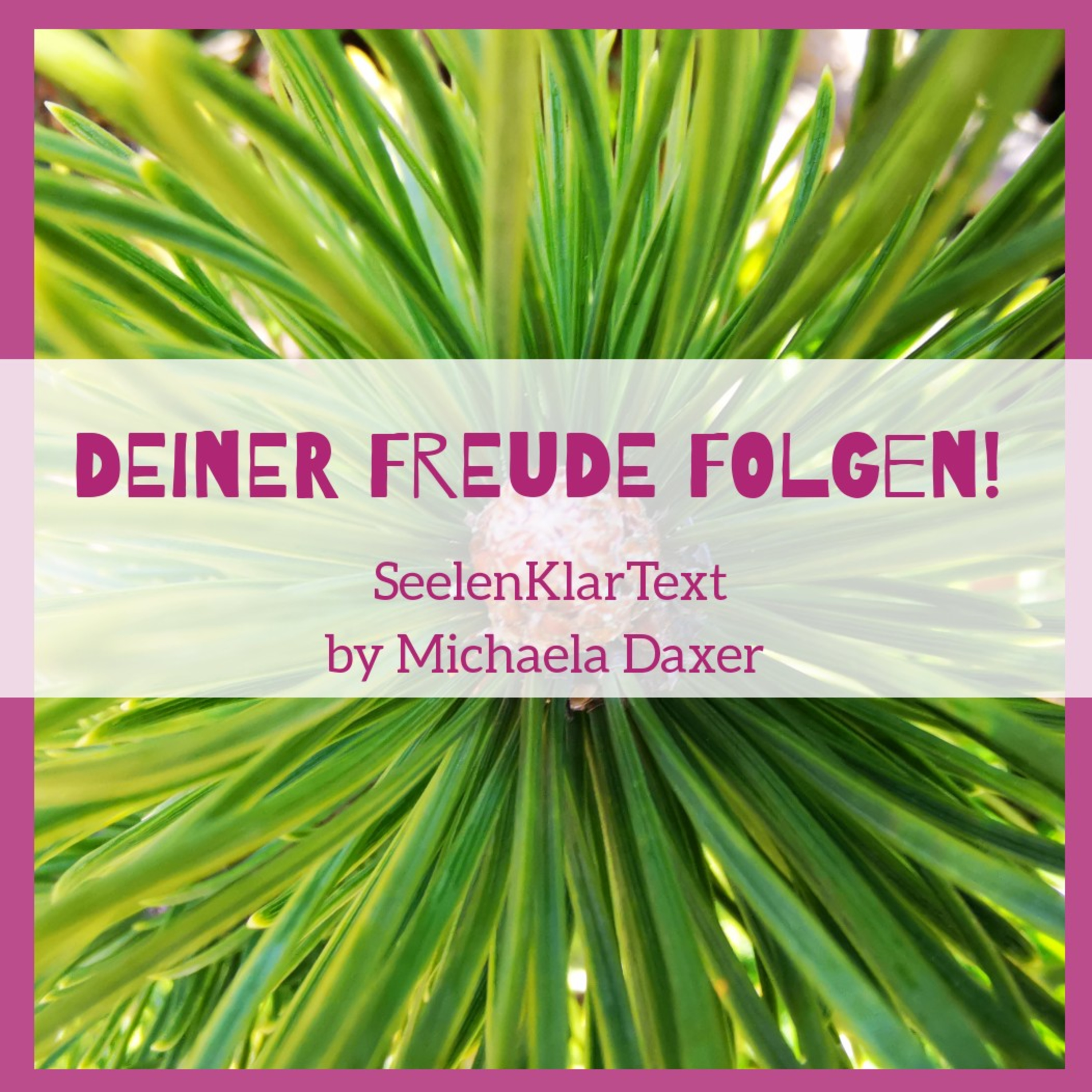 SeelenKlarText by Michaela Daxer