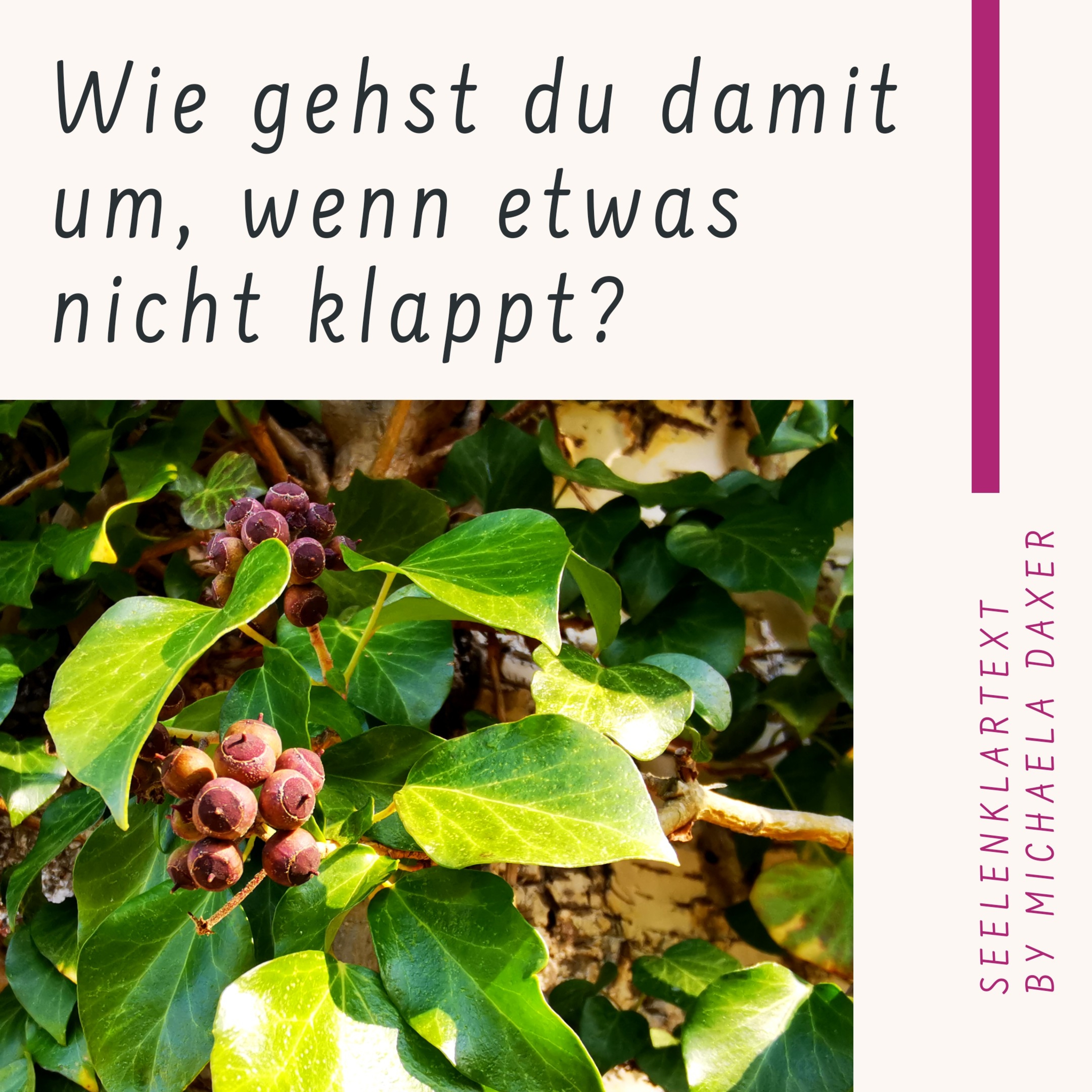 SeelenKlarText by Michaela Daxer