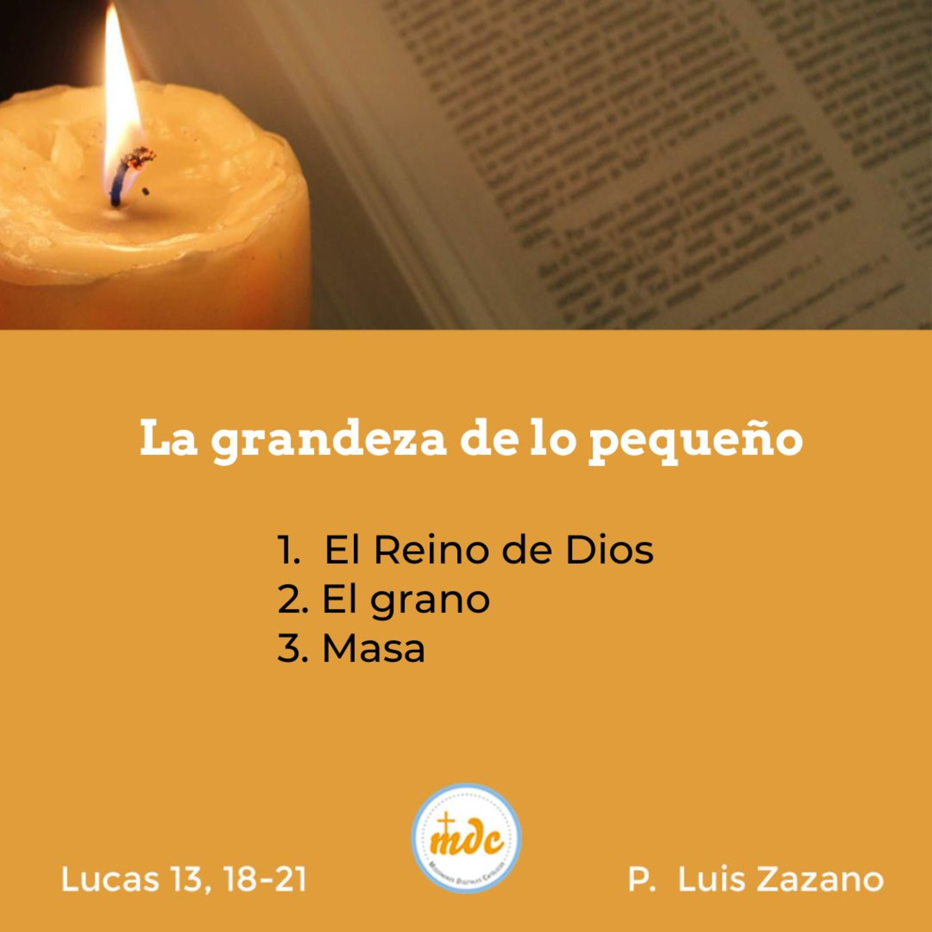 Reflexión diaria del Evangelio por el P. Luis Zazano
