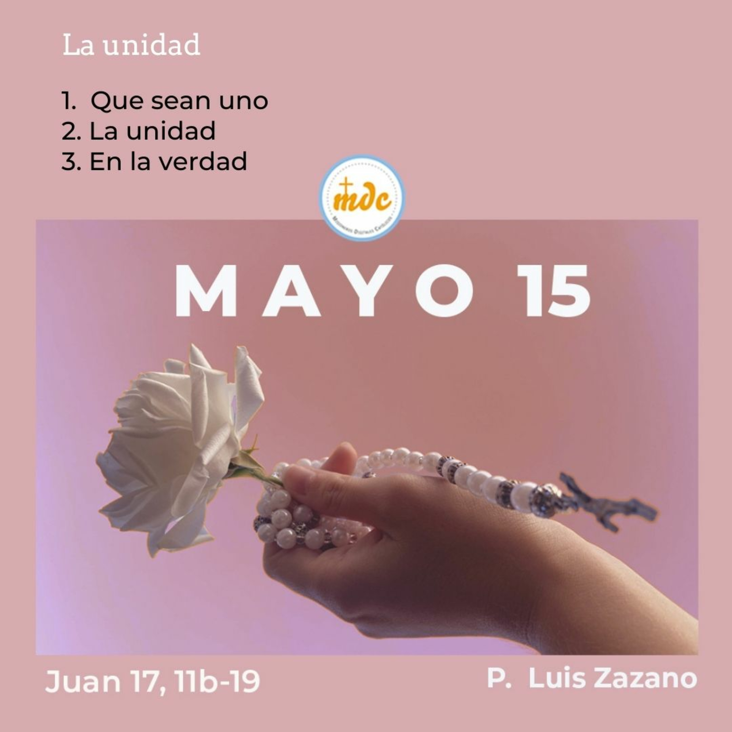 Reflexión diaria del Evangelio por el P. Luis Zazano