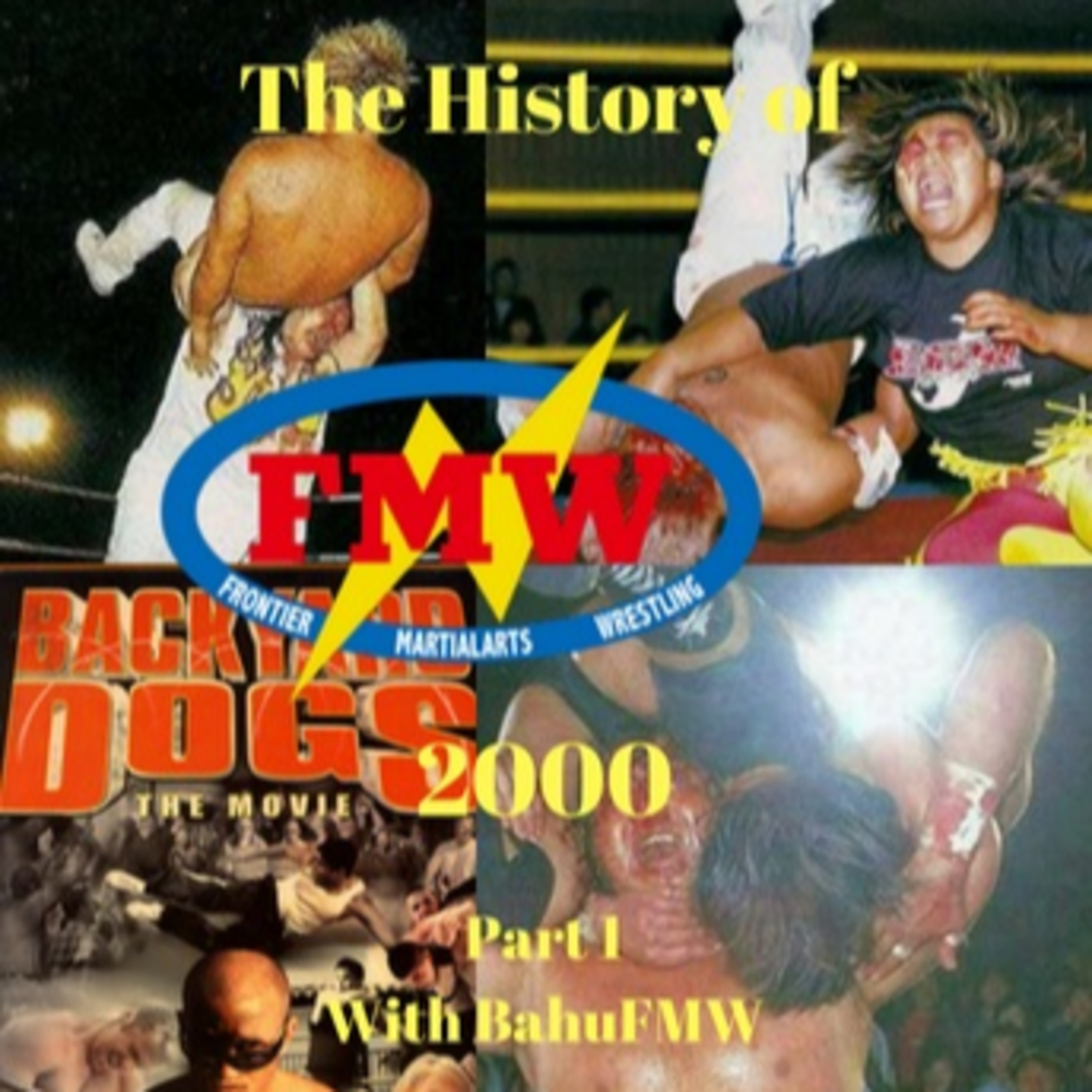 History of FMW
