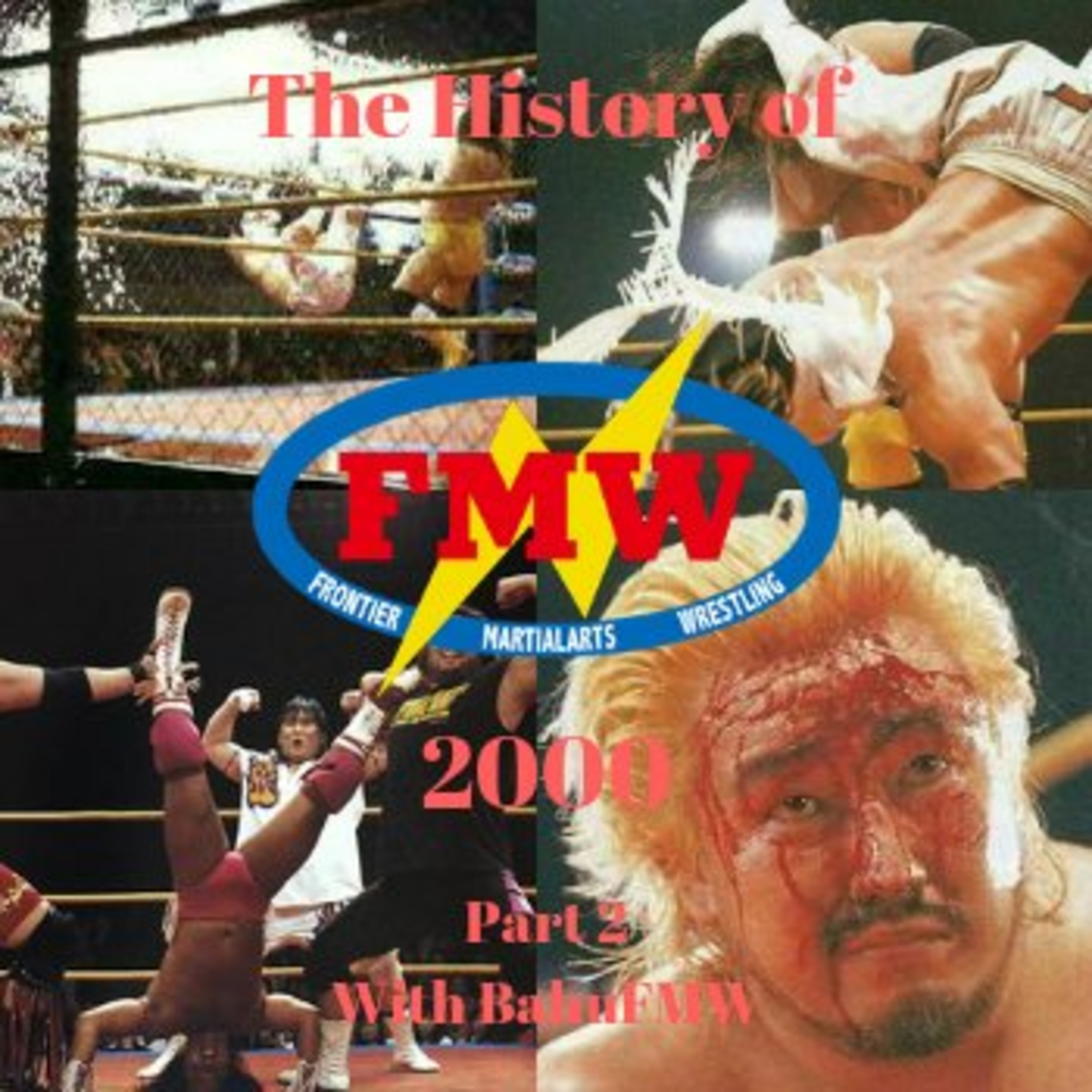 History of FMW