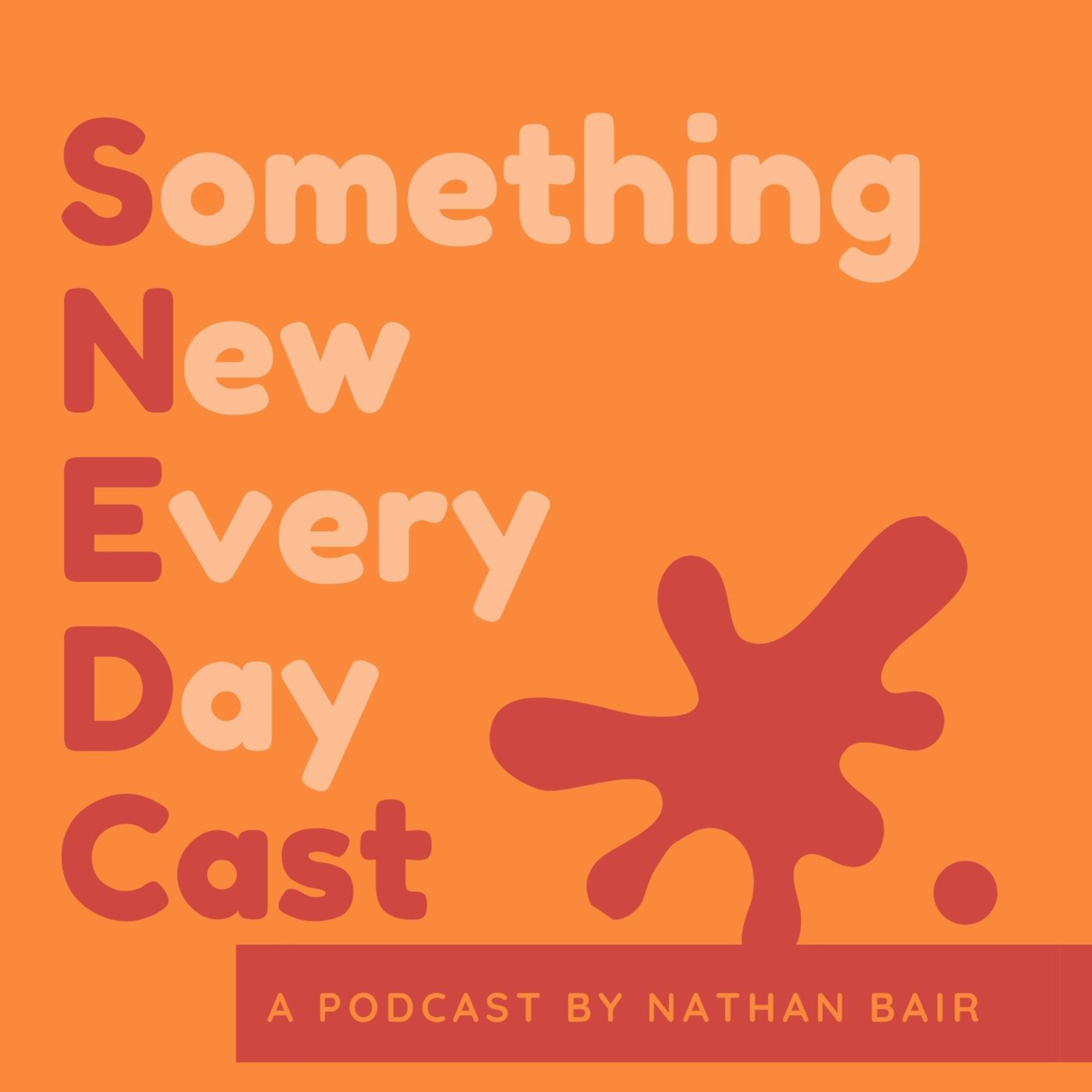 The Reason For The Seasons | SNEDCast episode artwork