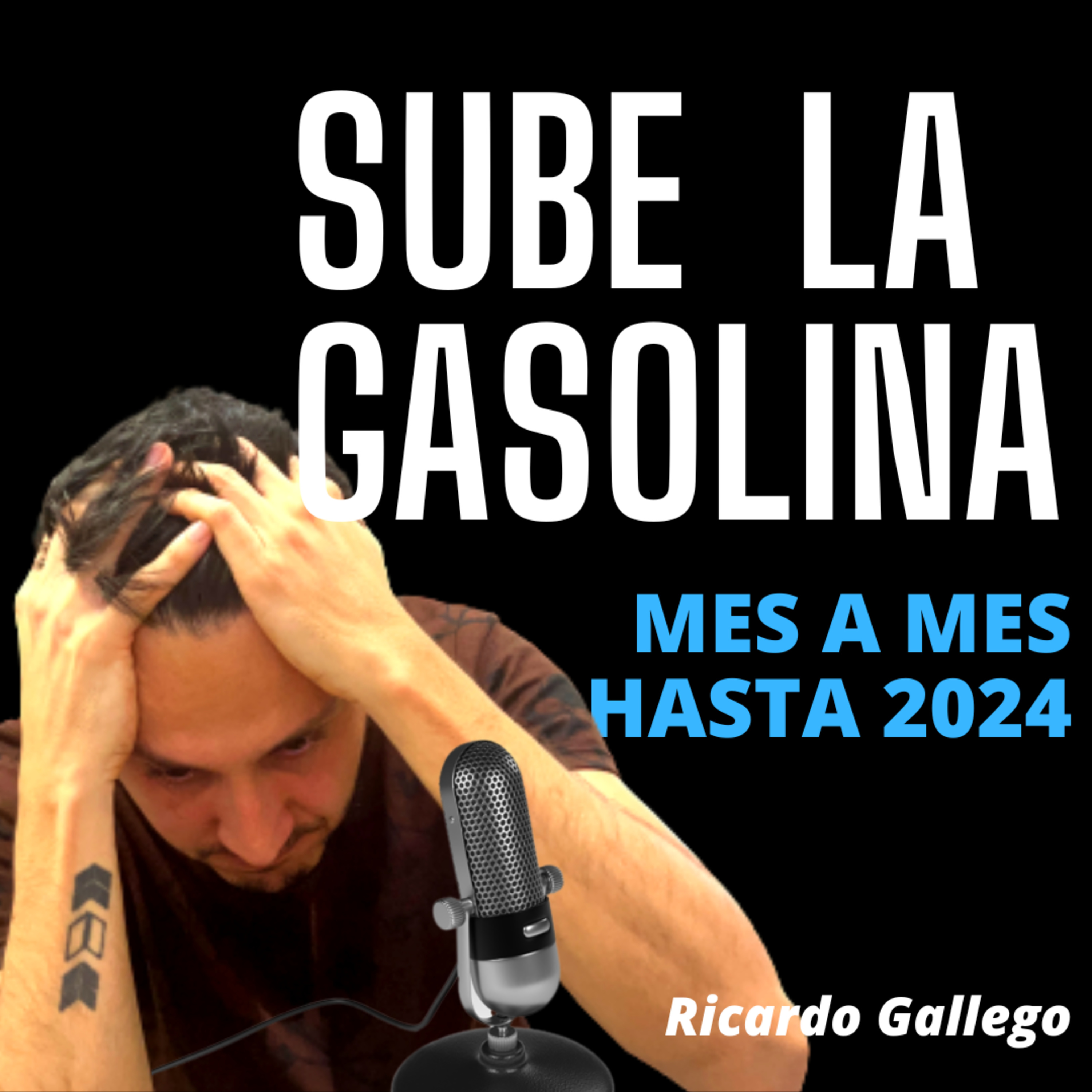 Ricargo Gallego - Inversión Inteligente