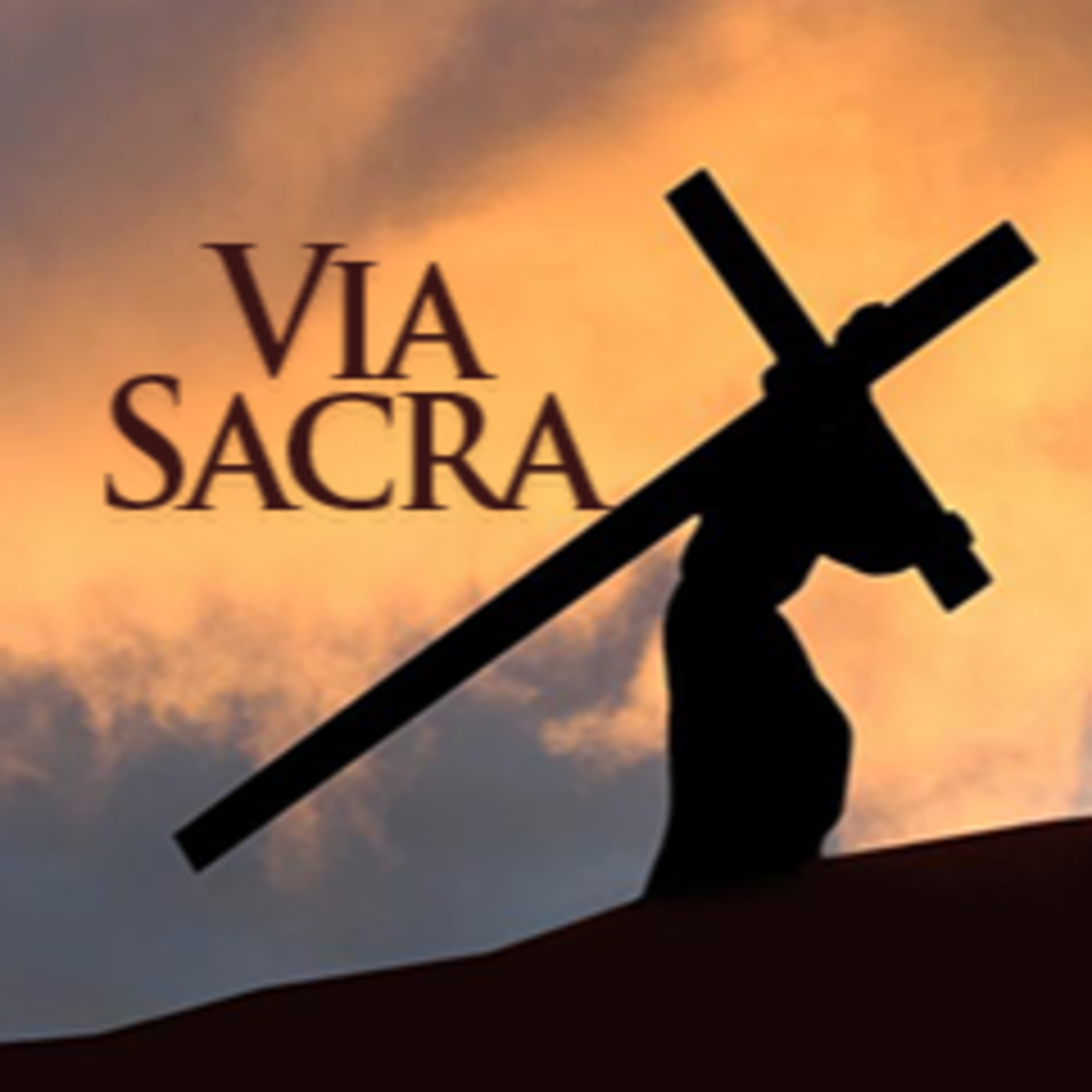 Via Sacra - Com Dom Amilton - Bispo Diocesano de Guarapuava - PR - 25/03/2021 episode artwork