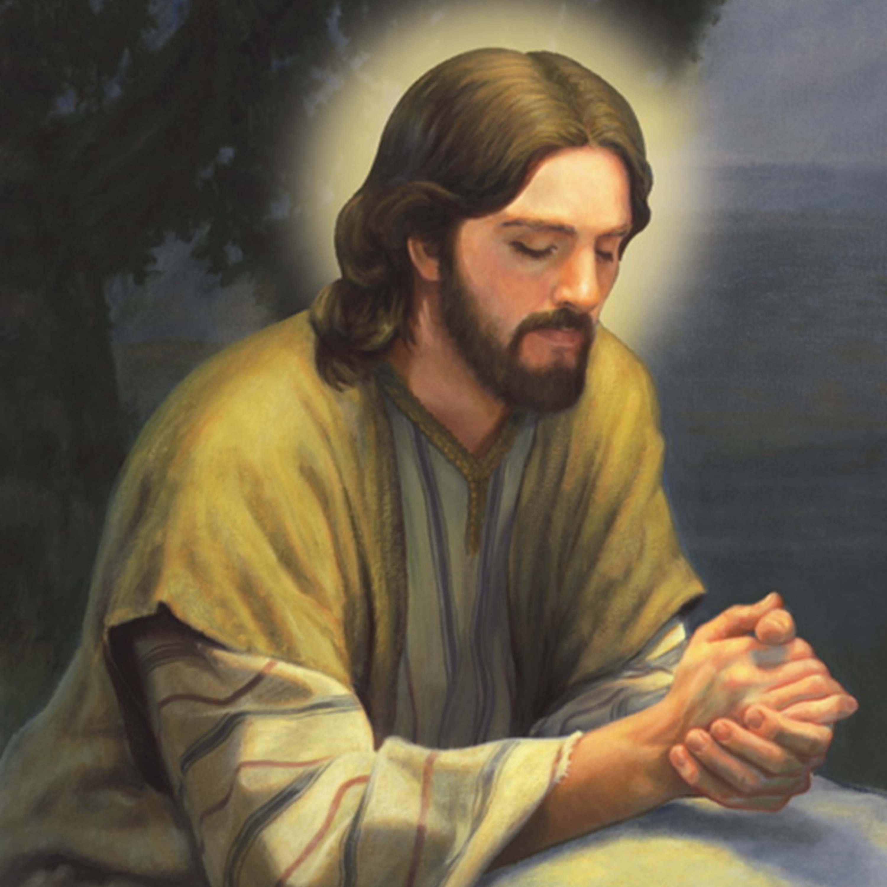 Boa noite meu Jesus com Padre Alex Oliveira (Hebreus 12,7-9) - 31-07-2022 episode artwork