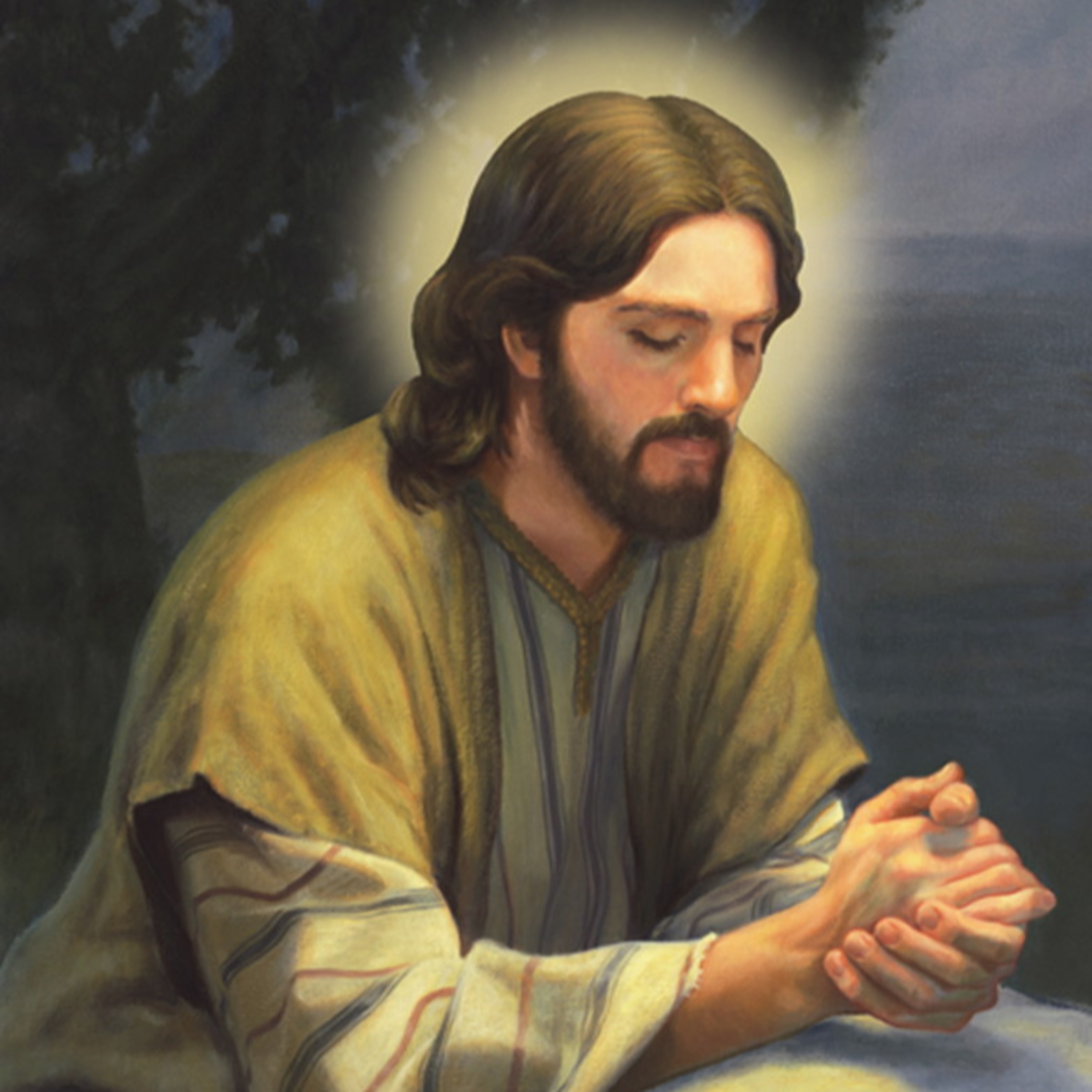 Boa noite meu Jesus com Padre Alex Oliveira (Hebreus 13,20-21) - 12-08-2022 episode artwork