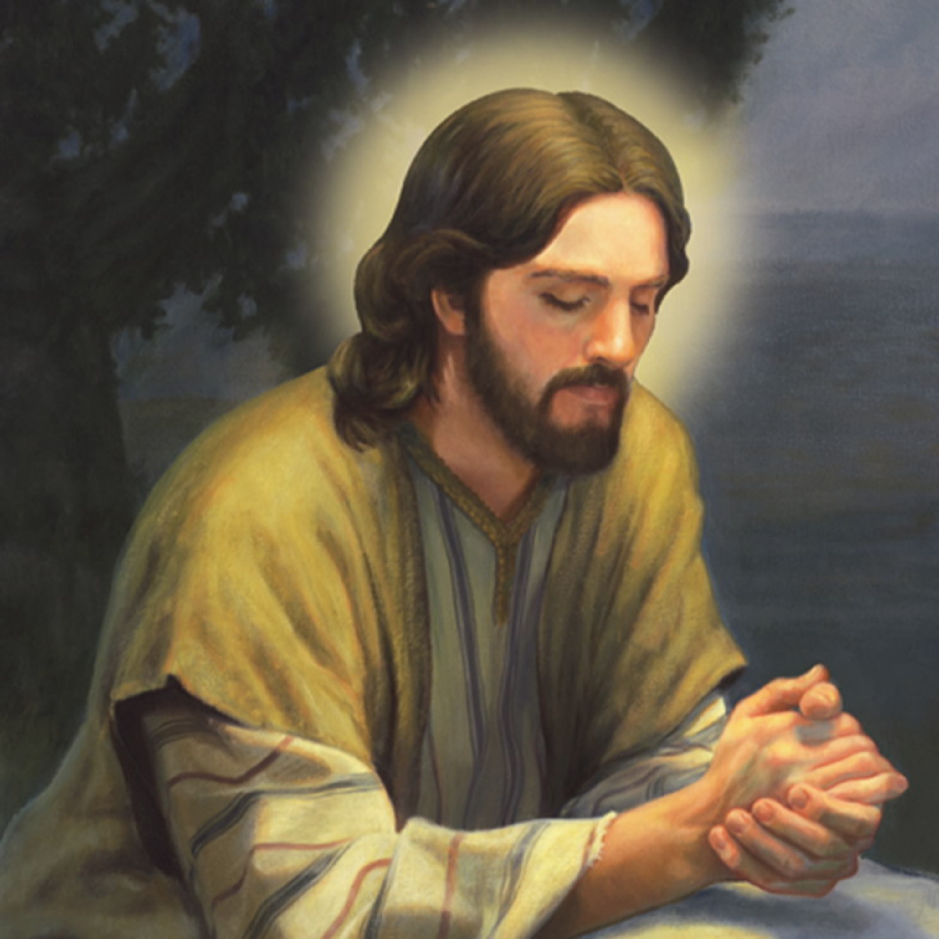 Boa noite meu Jesus com Padre Alex Oliveira (Hebreus 13,22-25) - 13-08-22 episode artwork