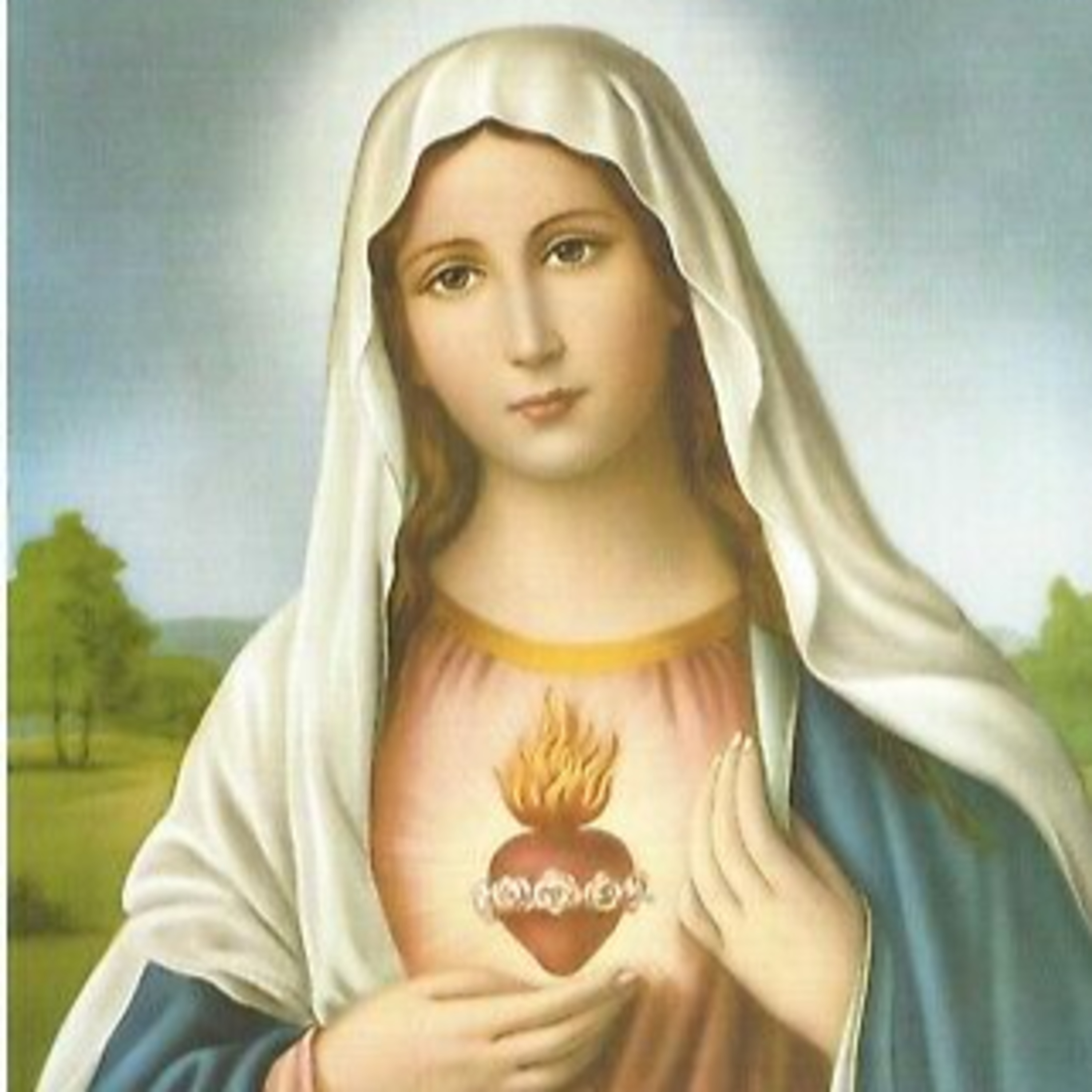 Reparação ao Imaculado Coração de Maria - 2° Sábado - Pelas as Blasfêmia cometidas contra a Virgindade Perpetua da Mãe de Deus - 03-09-22 episode artwork