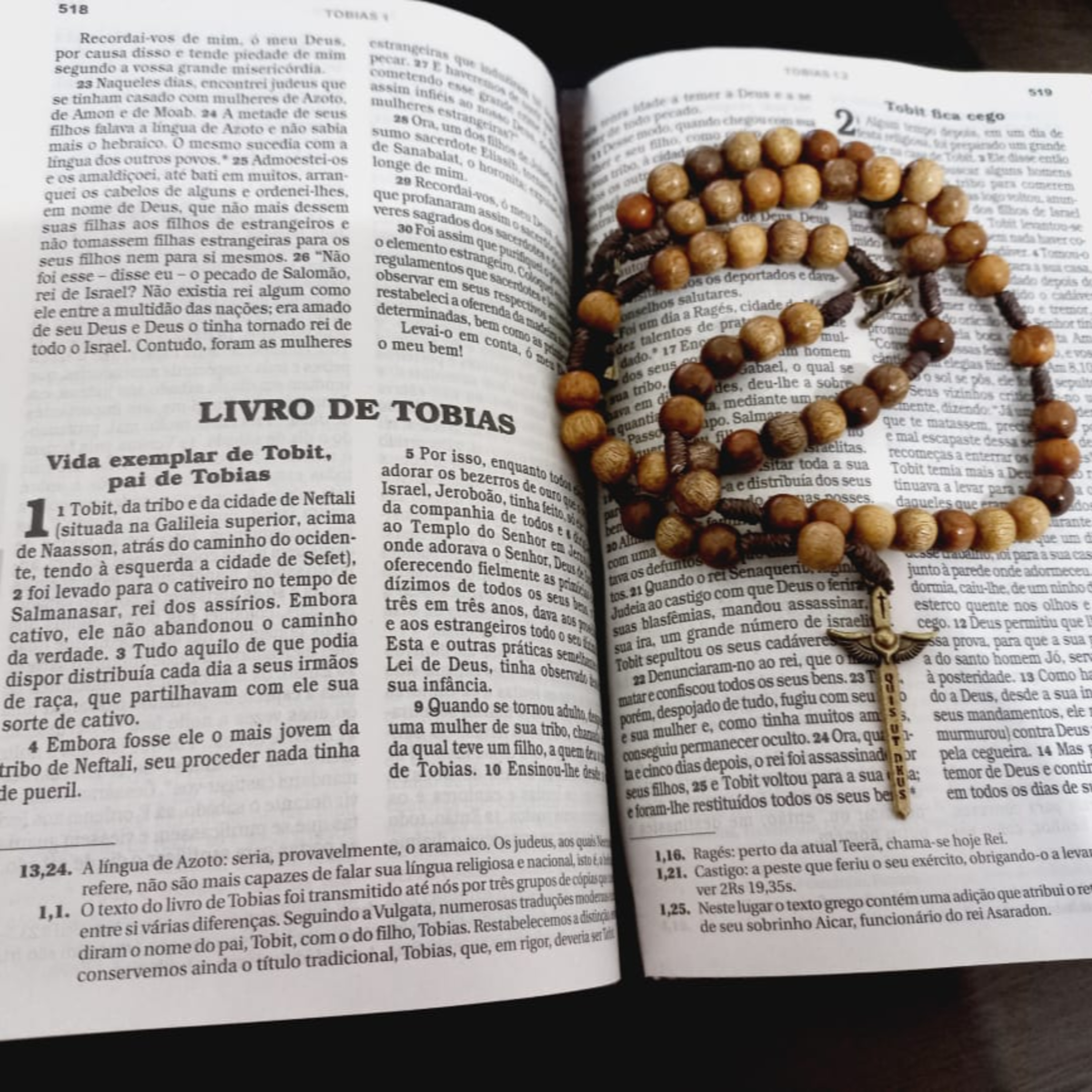 10° - Setembro Mês da Biblia - Tb Tb 10, 1-13 - Volta pra Casa - 24-09 - 22 episode artwork