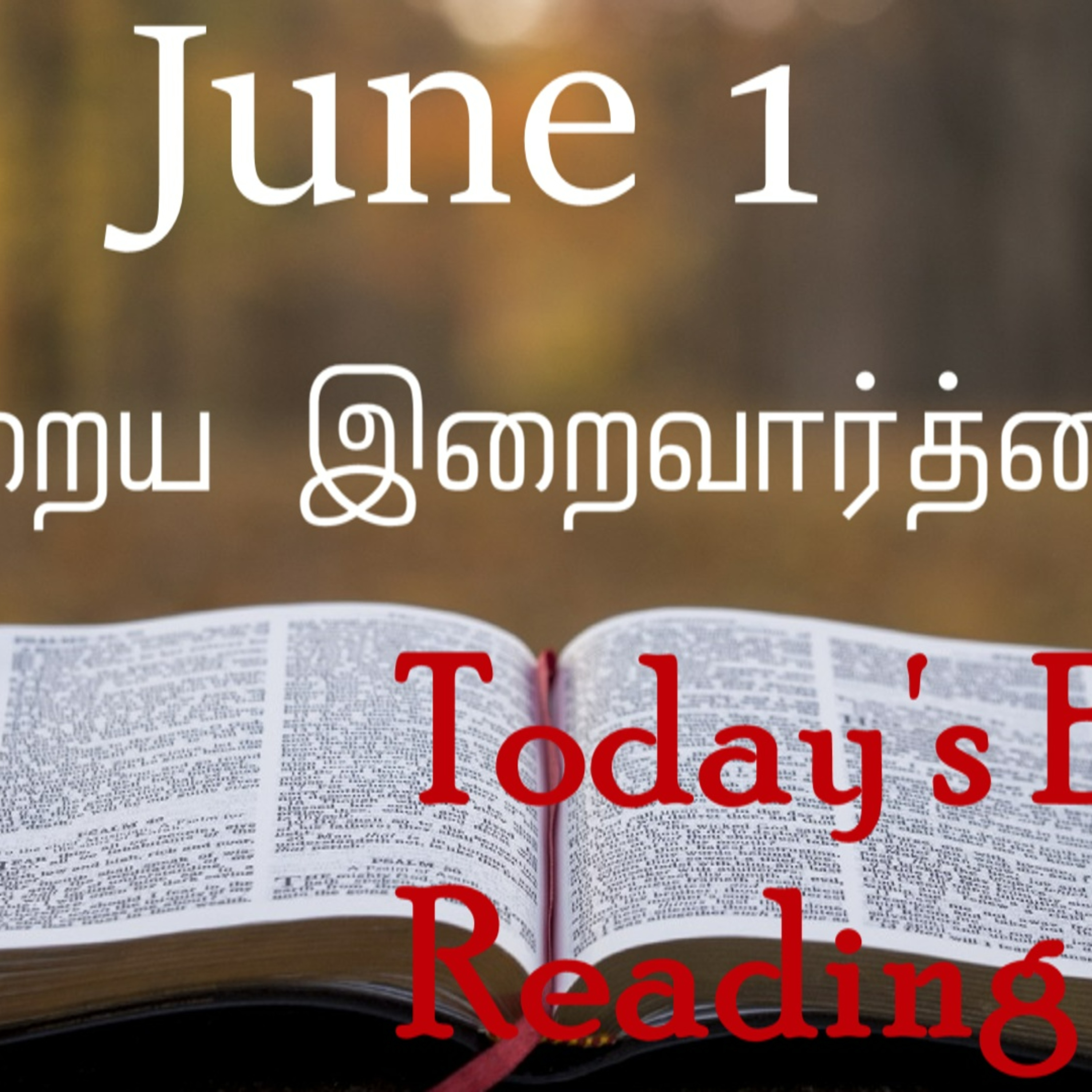 1 June 2022 - Holy Mass Readings Tamil | Catholic | Daily Bible Reading Tamil | Mass readings today | Today's Mass Readings Tamil | Daily bible verse in Tamil | Mass Readings for today