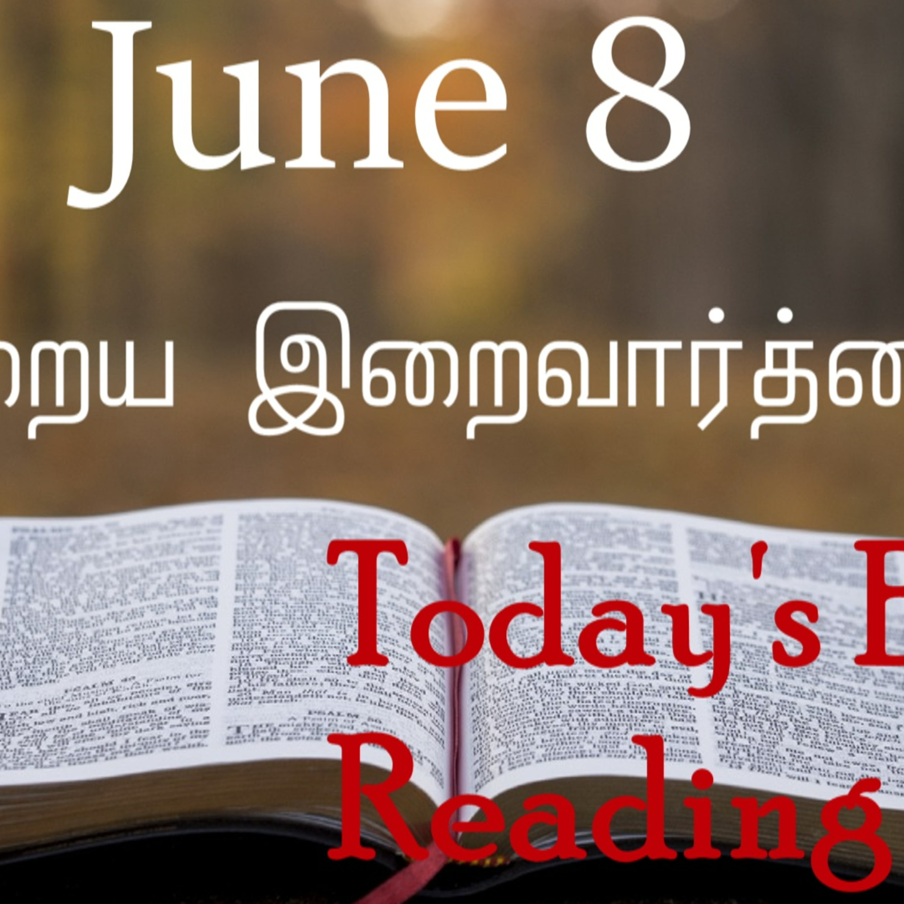 8 June 2022 Holy Mass Readings Tamil | Catholic | Daily Bible Reading Tamil | Mass readings today | Today's Mass Readings Tamil | Daily bible verse in Tamil | Mass Readings for today 