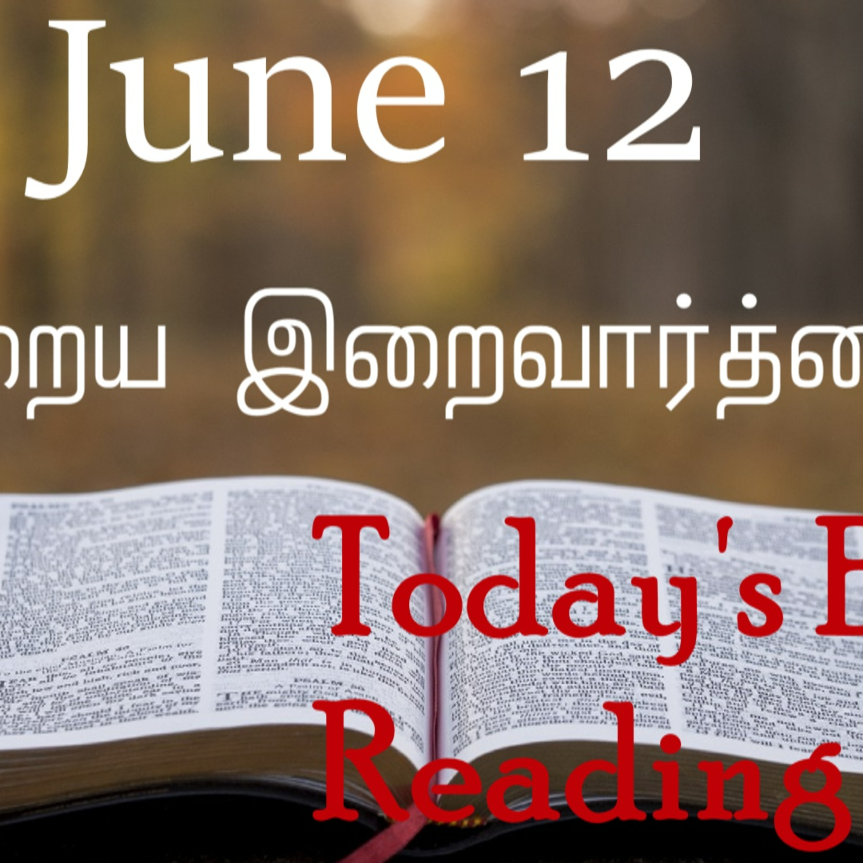 12 June 2022 Holy Mass Readings Tamil | Catholic | Daily Bible Reading Tamil | Mass readings today | Today's Mass Readings Tamil | Daily bible verse in Tamil | Mass Readings for today 
