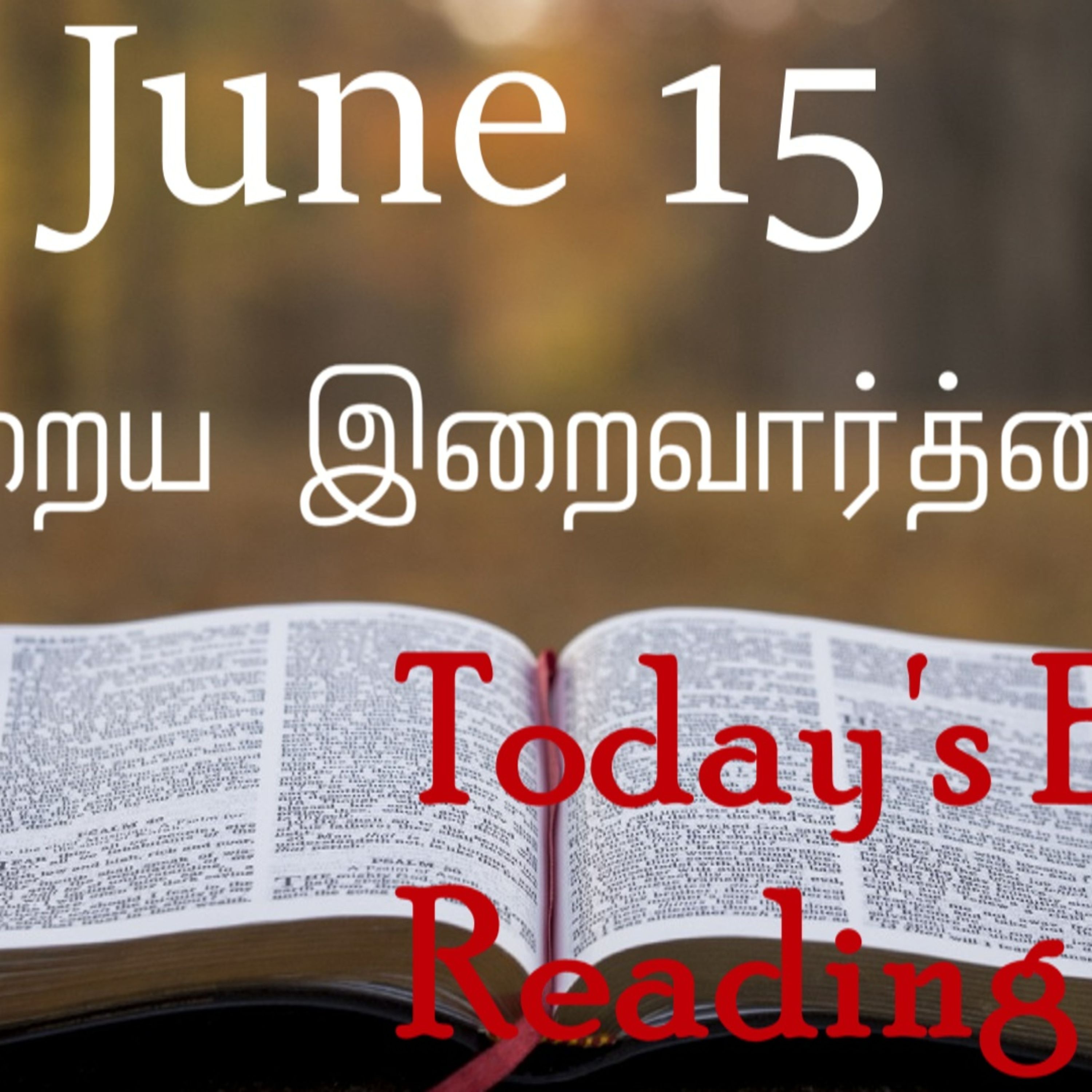 15 June 2022 Holy Mass Readings Tamil | Catholic | Daily Bible Reading Tamil | Mass readings today | Today's Mass Readings Tamil | Daily bible verse in Tamil | Mass Readings for today 