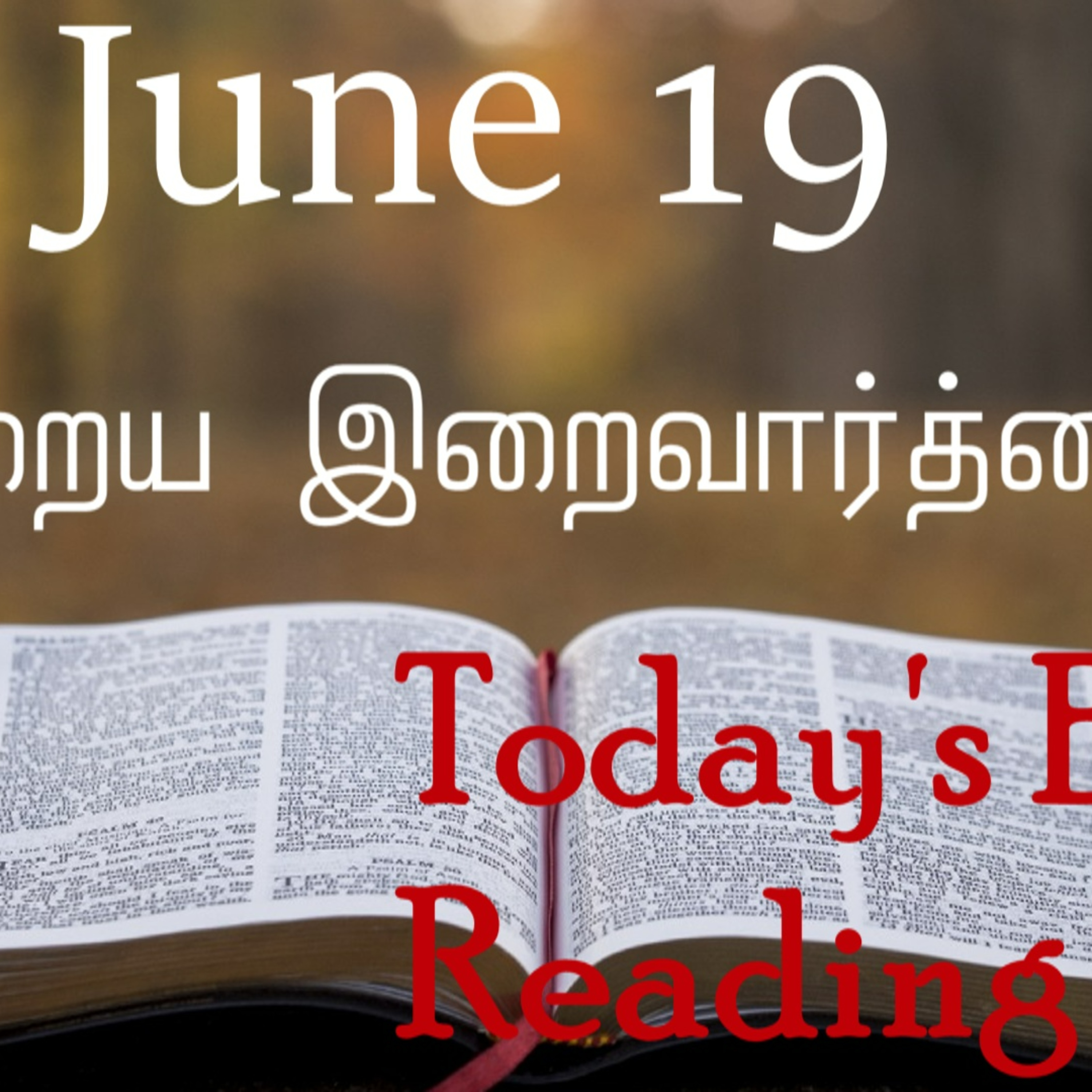 19 June 2022 Holy Mass Readings Tamil | Catholic | Daily Bible Reading Tamil | Mass readings today | Today's Mass Readings Tamil | Daily bible verse in Tamil | Mass Readings for today | today's bible 