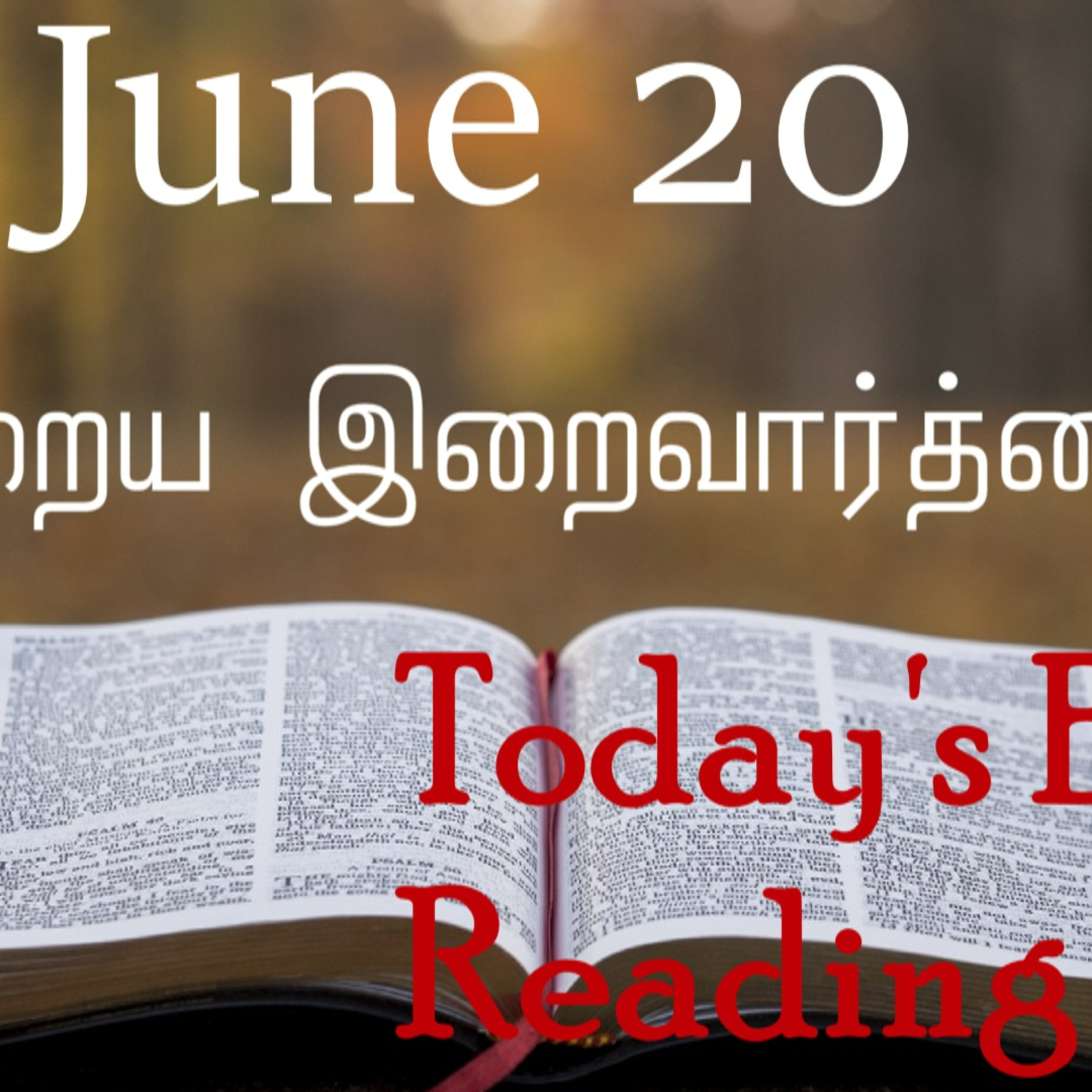 20 June 2022 Holy Mass Readings Tamil | Catholic | Daily Bible Reading Tamil | Mass readings today | Today's Mass Readings Tamil | Daily bible verse in Tamil | Mass Readings for today | today's bible 