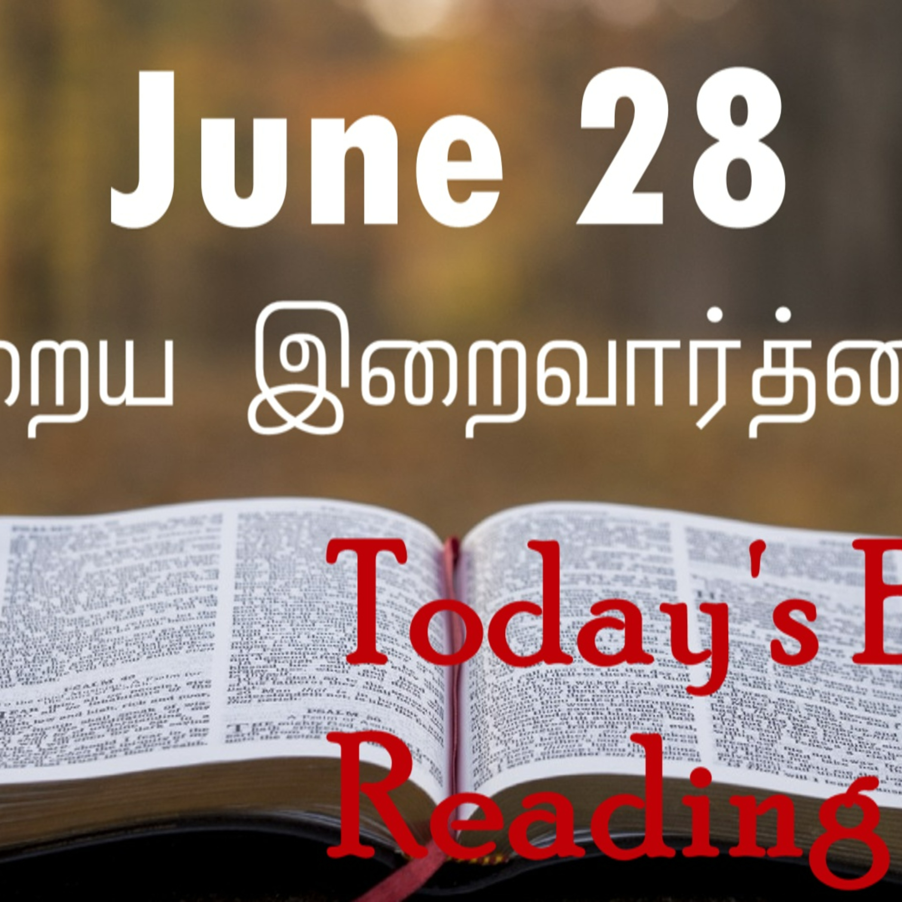 28 June 2022 Holy Mass Readings Tamil | Catholic | Daily Bible Reading Tamil | Mass readings today | Today's Mass Readings Tamil | Daily bible verse in Tamil | Mass Readings for today | today's bible 