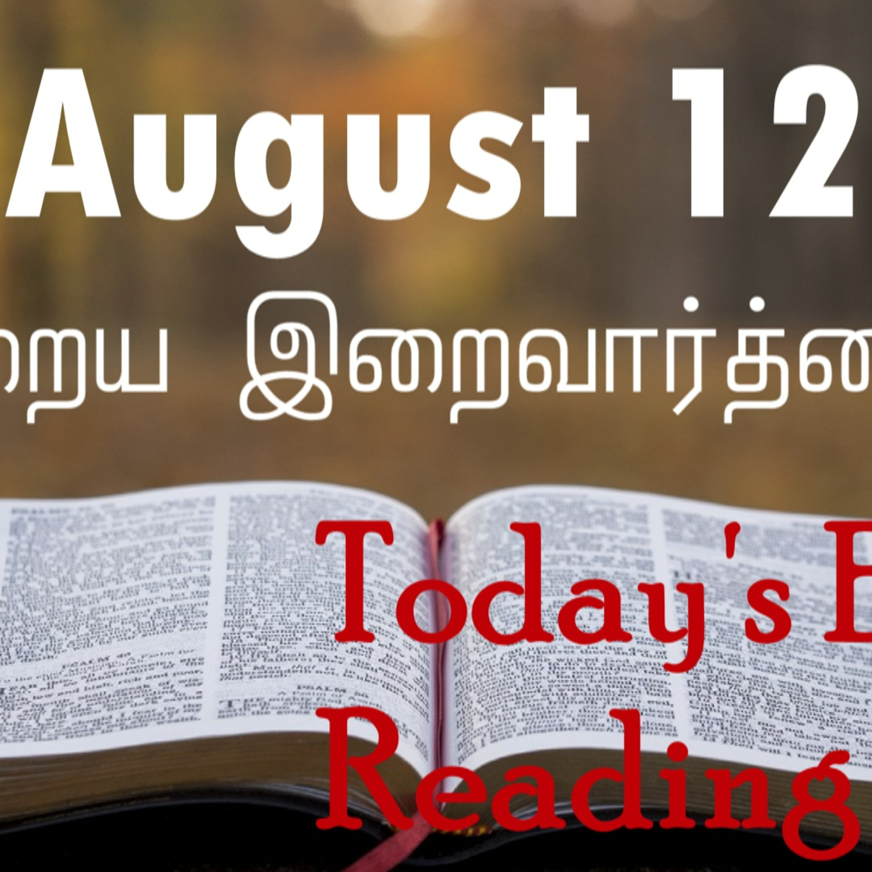 12 August 2022 Holy Mass Readings Tamil | Catholic | Daily Bible Reading Tamil | Mass readings today | Today's Mass Readings Tamil | Daily bible verse in Tamil | Mass Readings for today | today's bibl