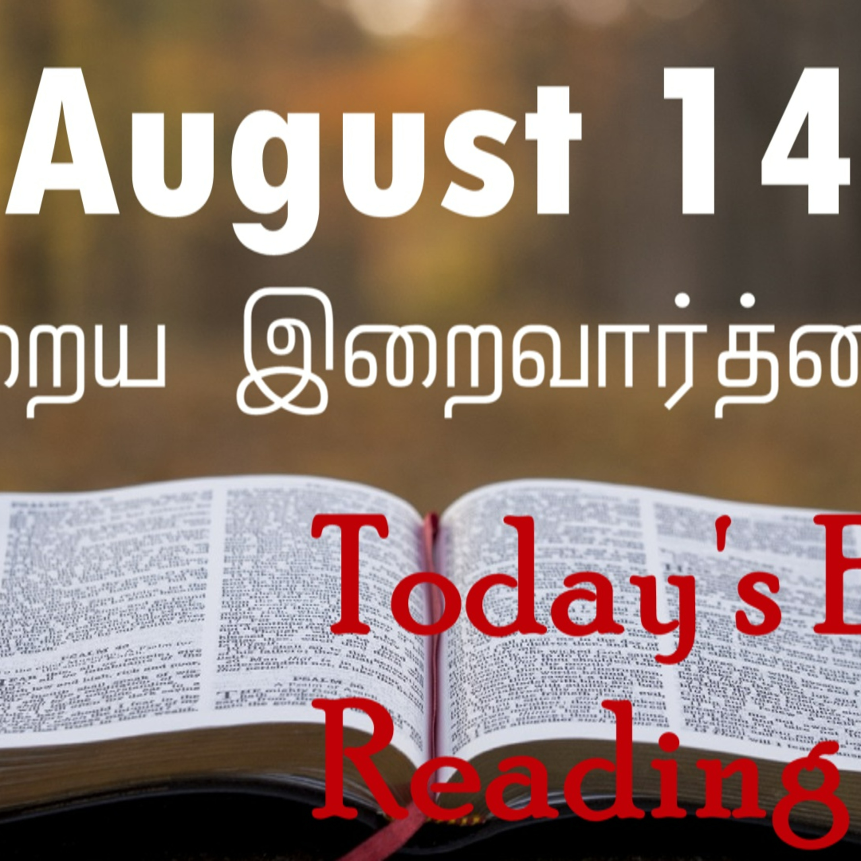 14 August 2022 Holy Mass Readings Tamil | Catholic | Daily Bible Reading Tamil | Mass readings today | Today's Mass Readings Tamil | Daily bible verse in Tamil | Mass Readings for today | today's bibl