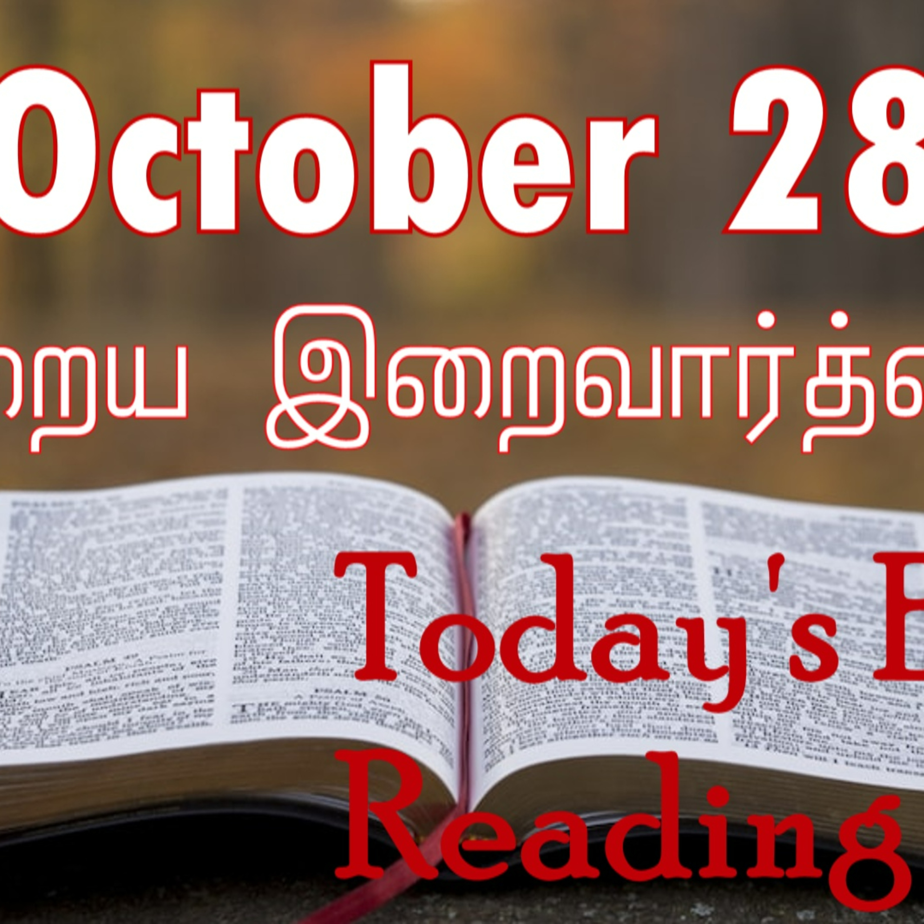28 October 2022 Holy Mass Readings Tamil | Catholic | Daily Bible Reading Tamil | Mass readings today | Today's Mass Readings Tamil | Daily bible verse in Tamil | Mass Readings for today | today's bib