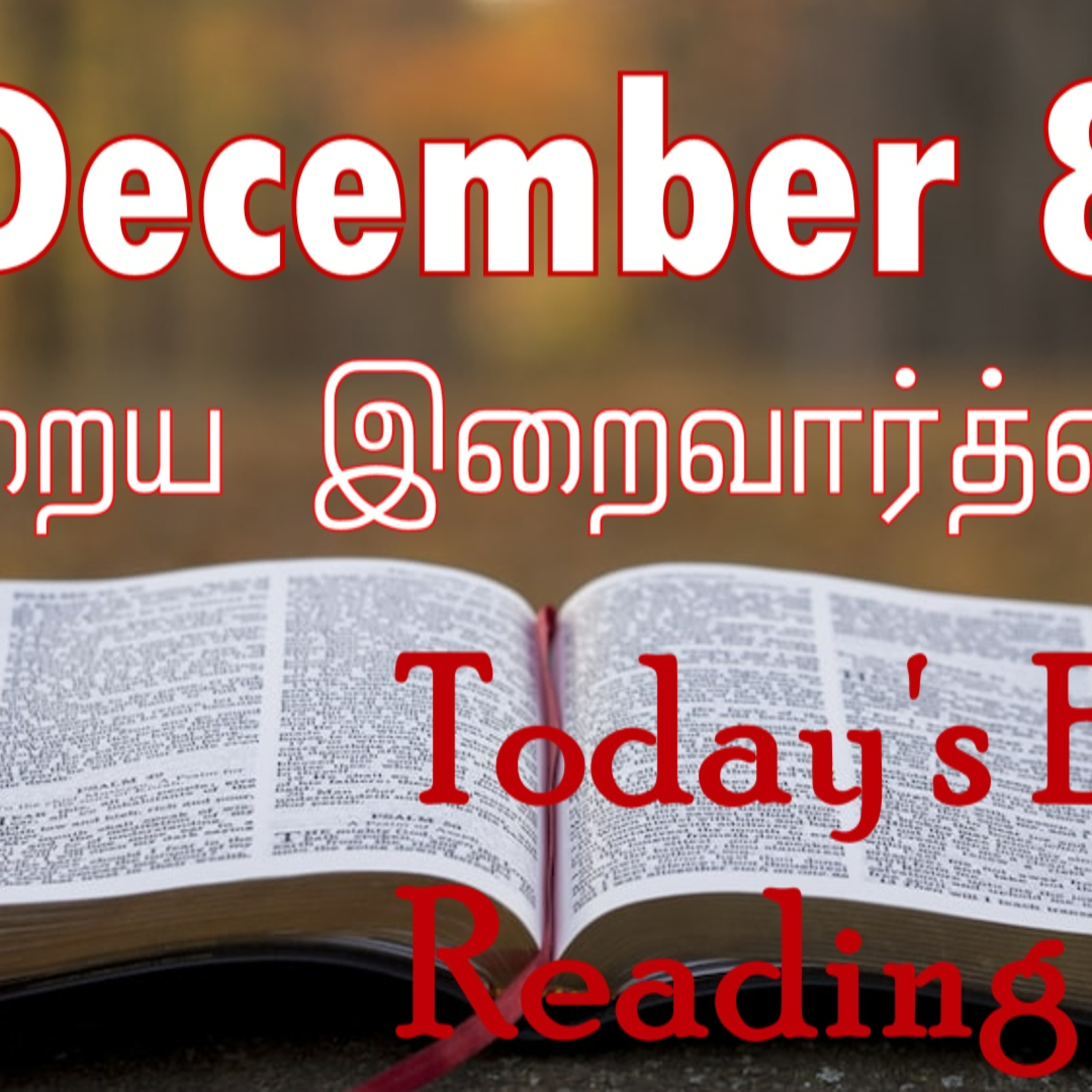 8 December 2022 Holy Mass Readings Tamil | Catholic | Daily Bible Reading Tamil | Mass readings today | Today's Mass Readings Tamil | Daily bible verse in Tamil | Mass Readings for today | today's bi