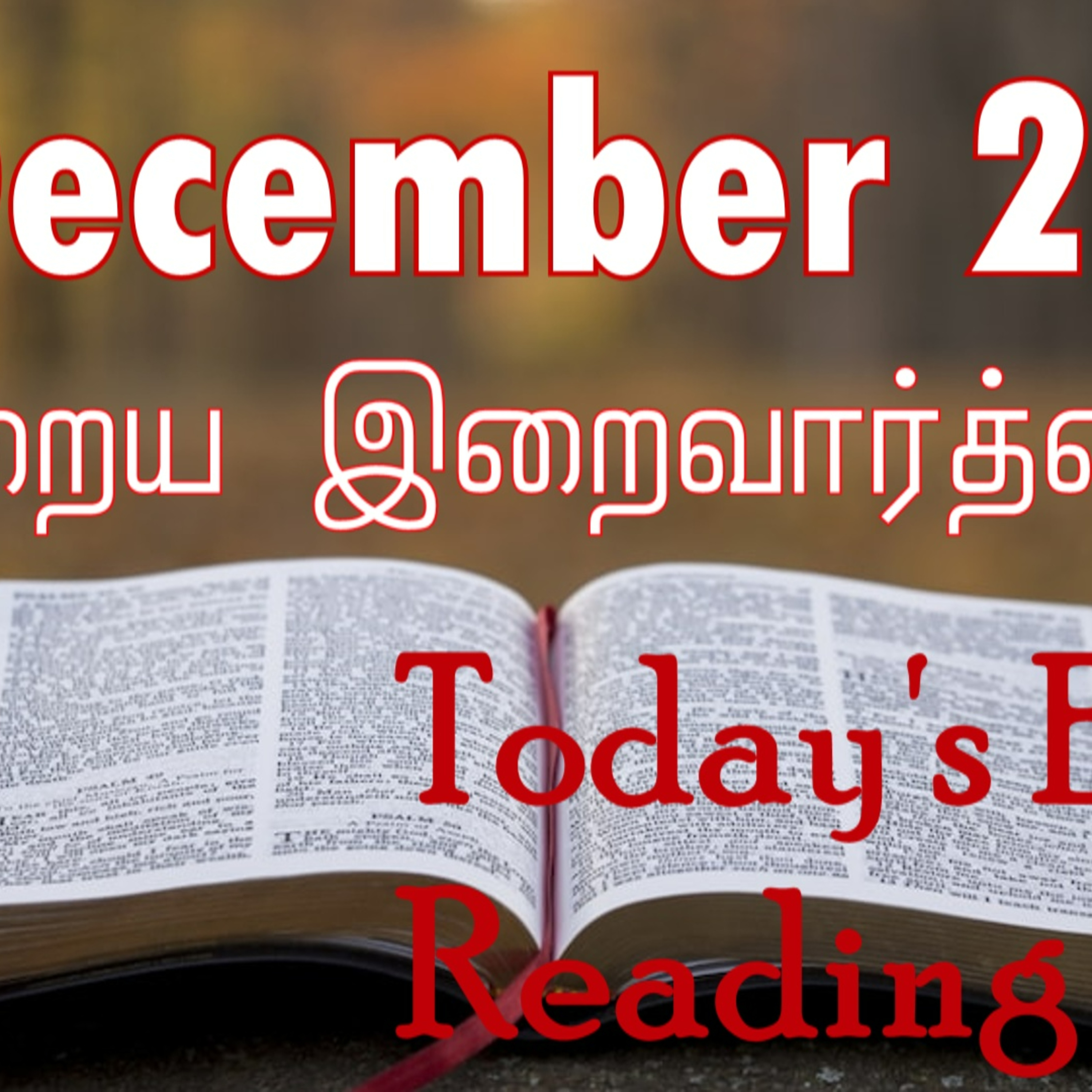 29 December 2022 Holy Mass Readings Tamil | Catholic | Daily Bible Reading Tamil | Mass readings today | Today's Mass Readings Tamil | Daily bible verse in Tamil | Mass Readings for today | today's b
