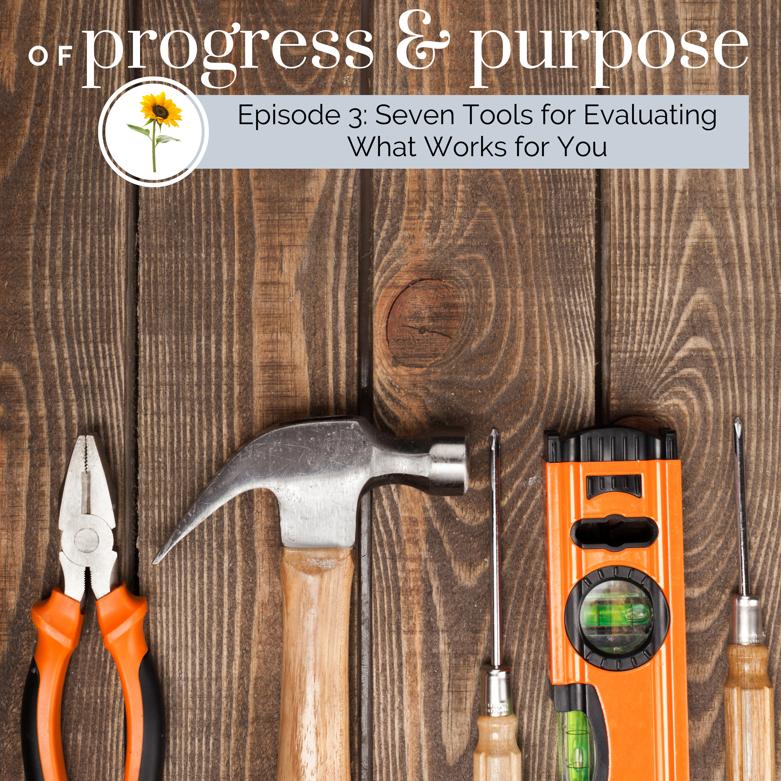 Progress Prompts