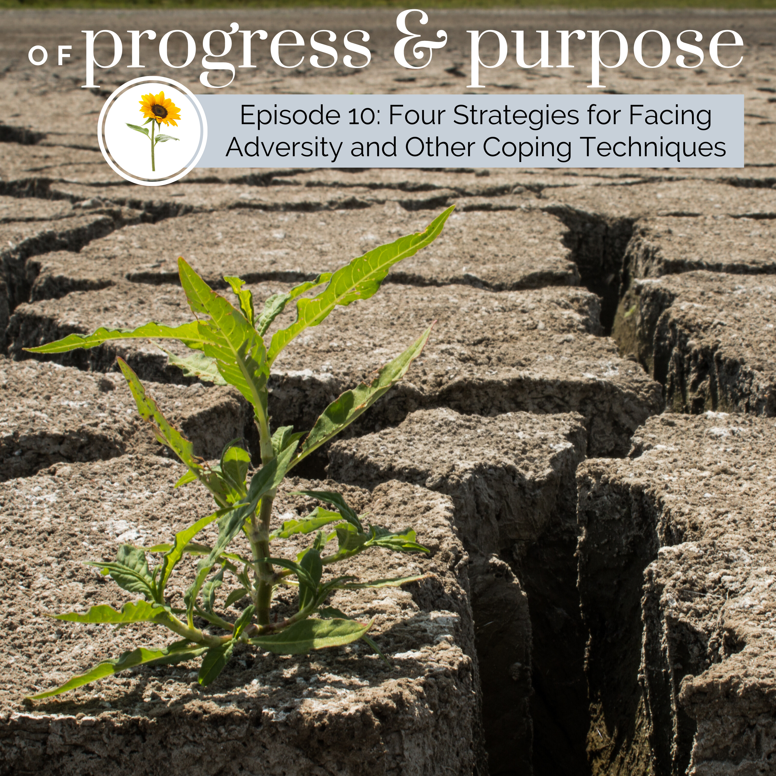 Progress Prompts