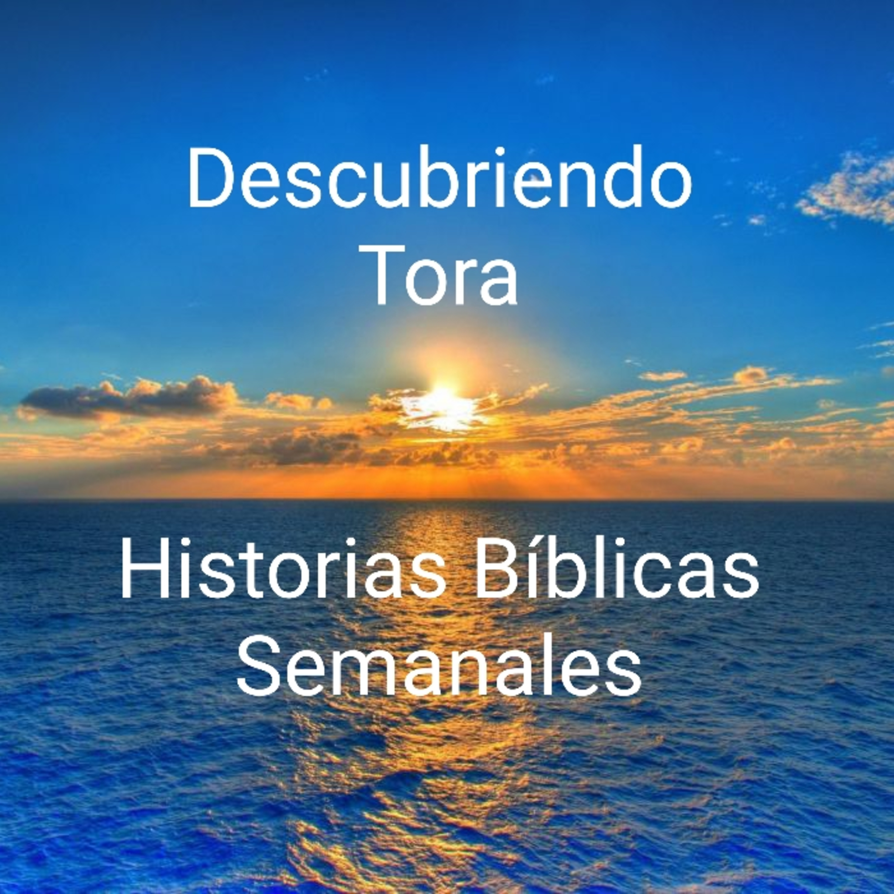 Descubriendo Tora