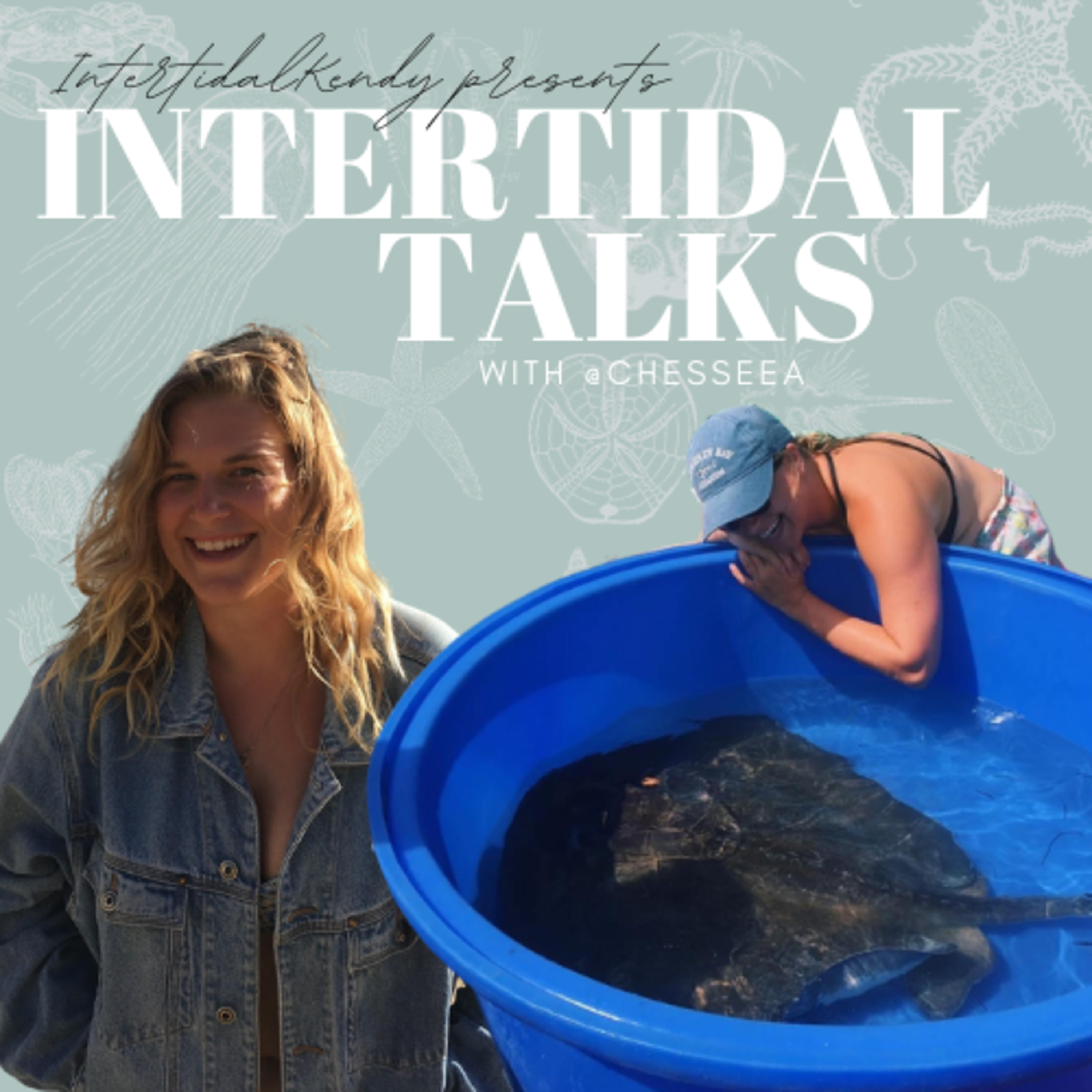 Stingray Science and Research with Chessie 