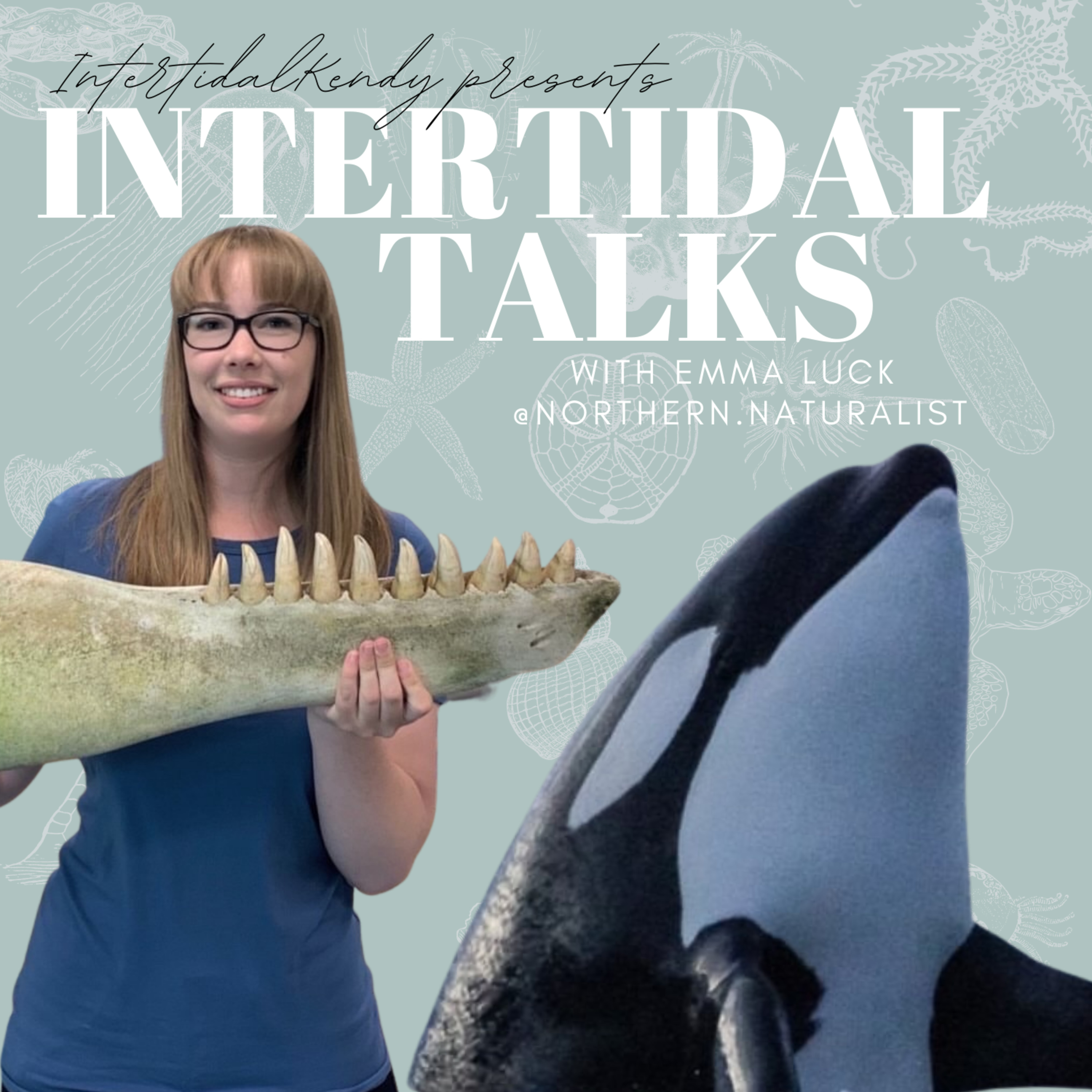 Whale Watching in Norway & Killer Whale Research with Emma Luck